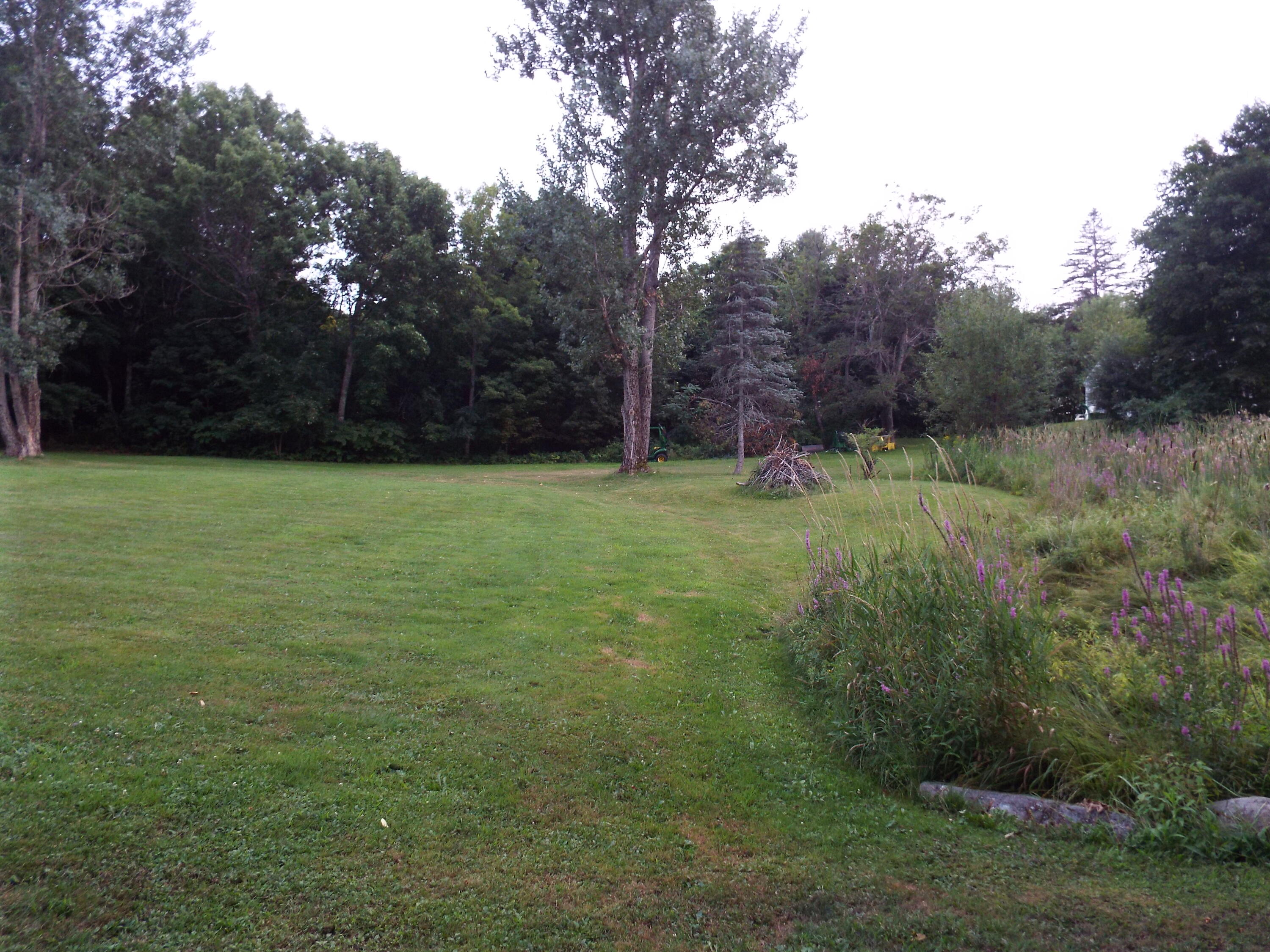 main property photo 54
