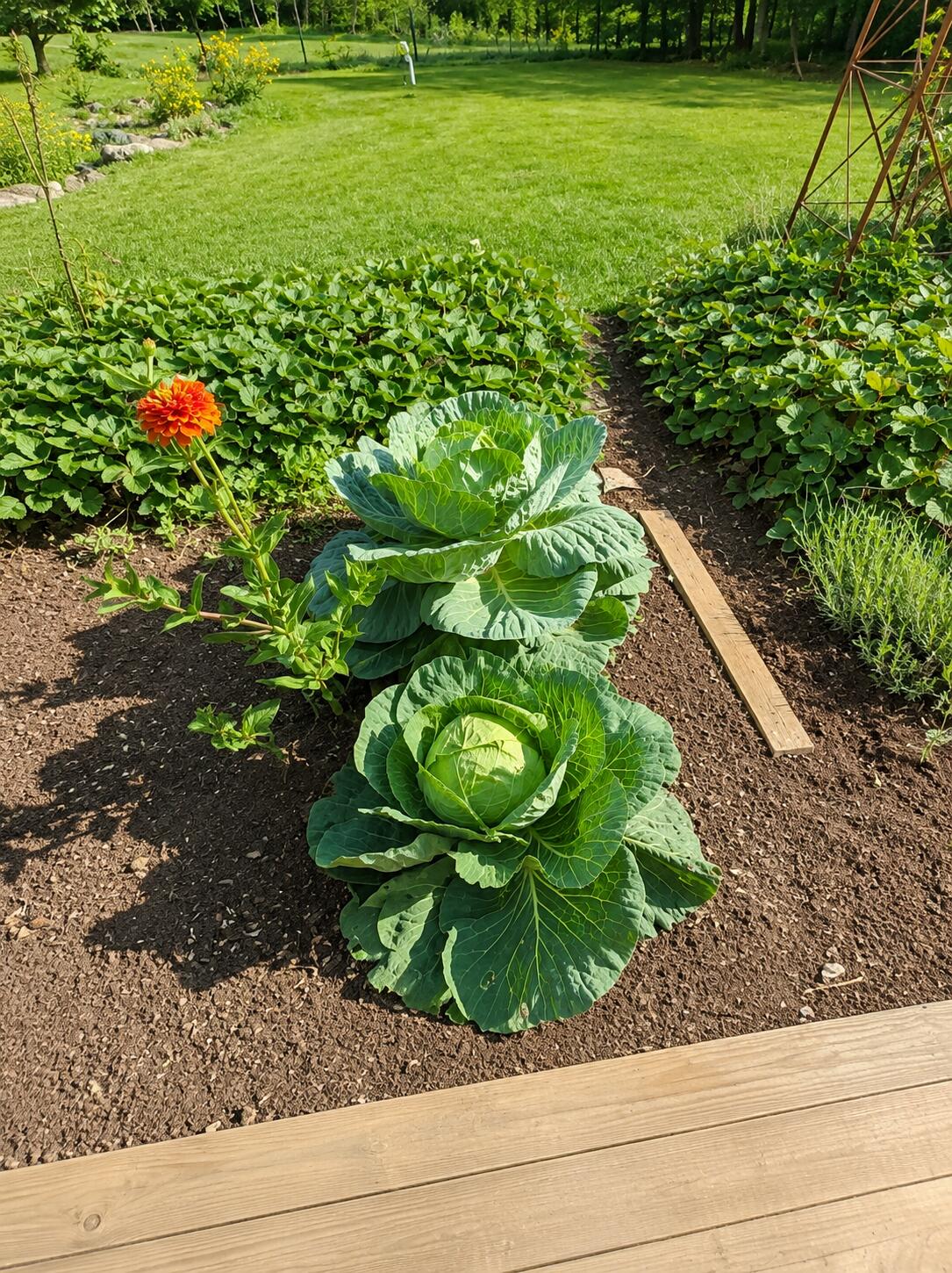 main property photo 29