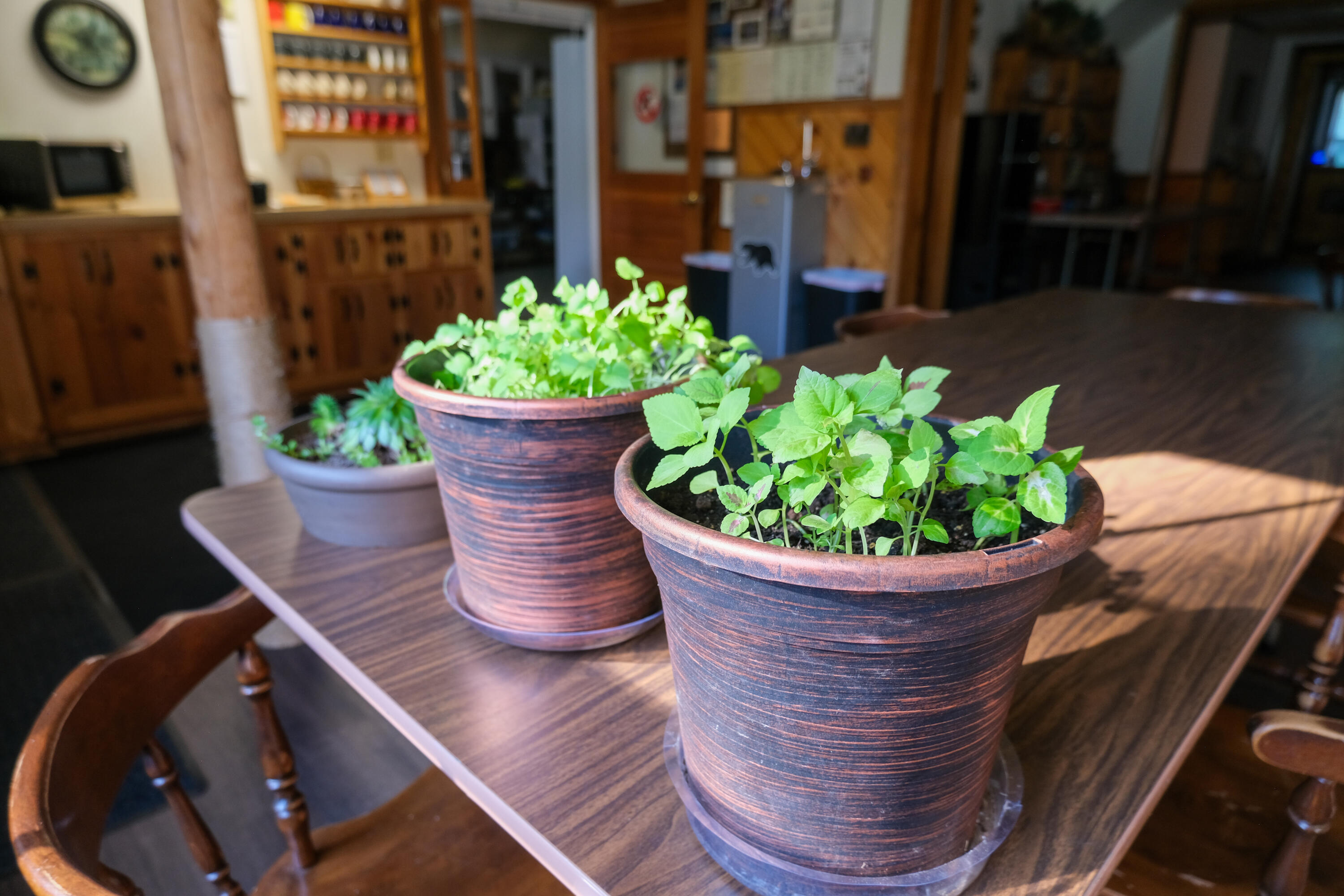 main property photo 56