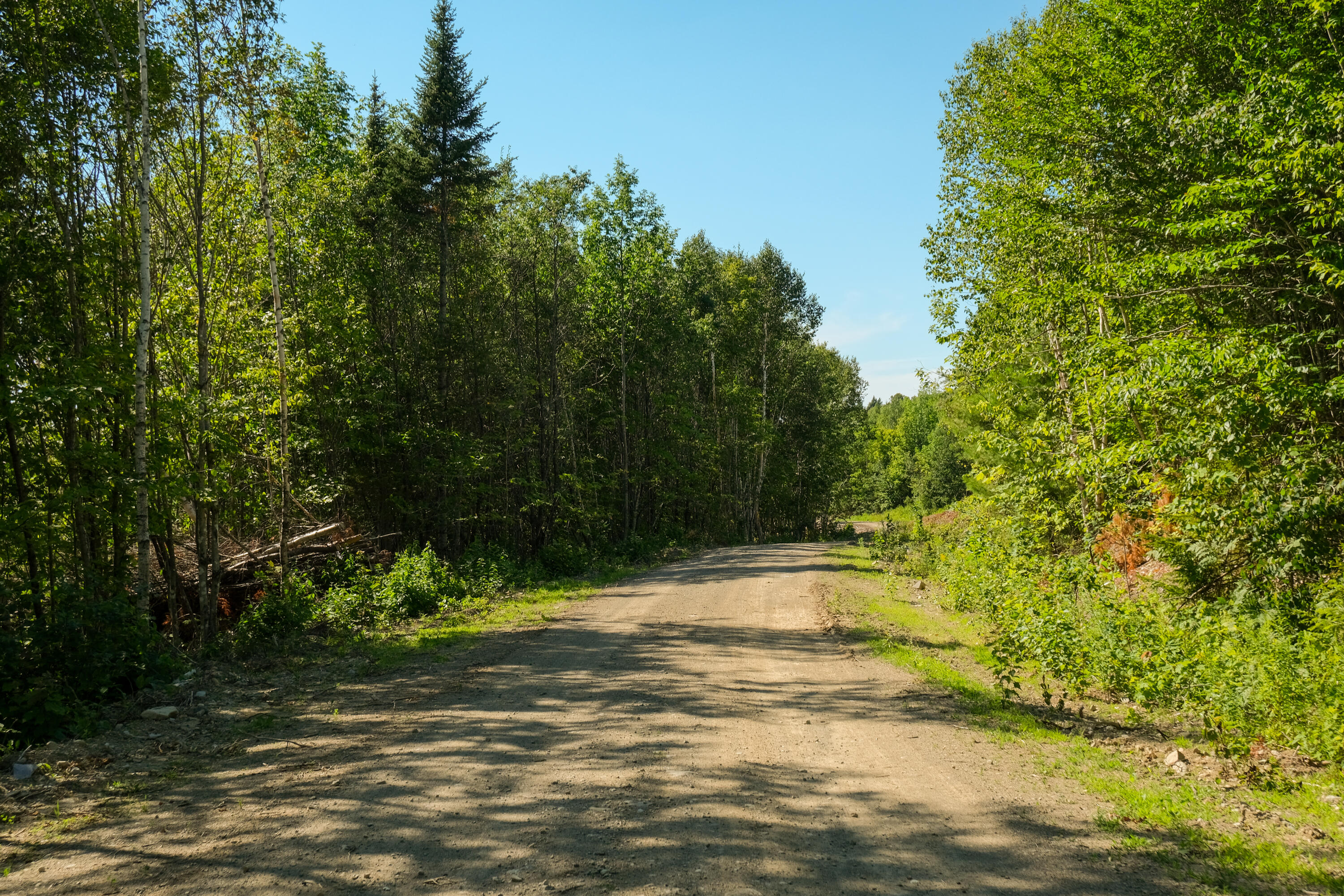 main property photo 98