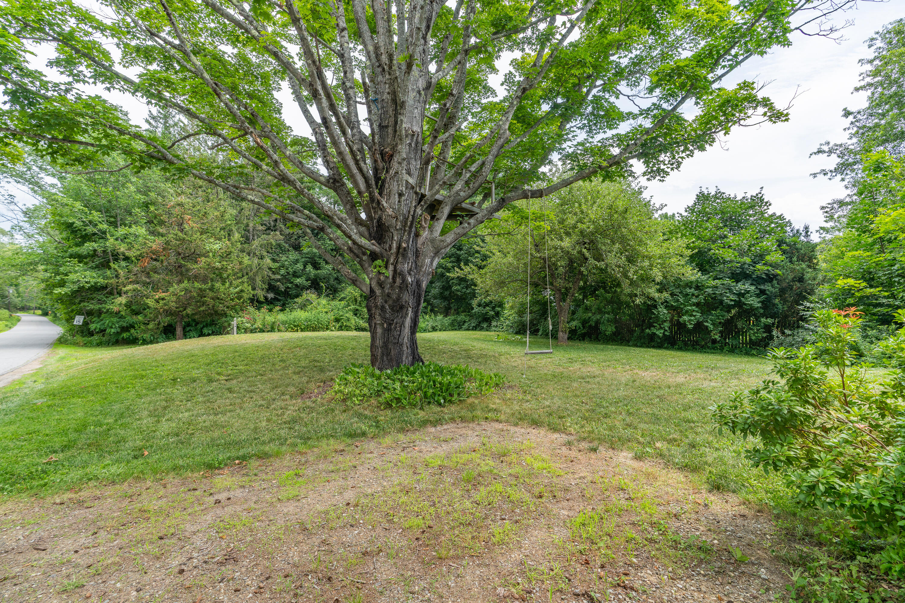 main property photo 119