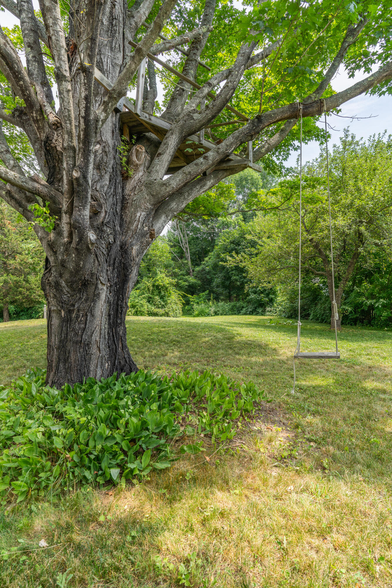 main property photo 120