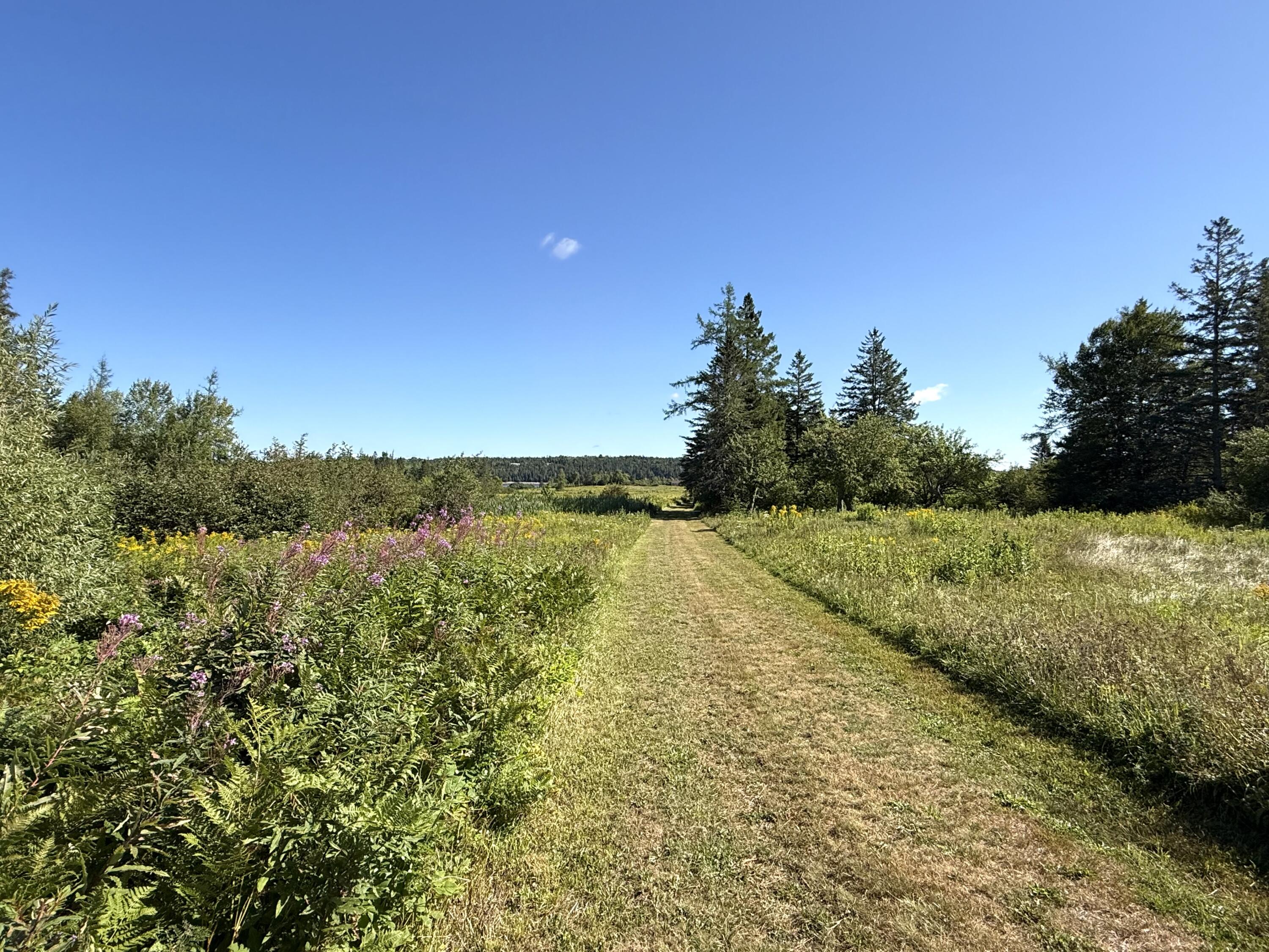 main property photo 20