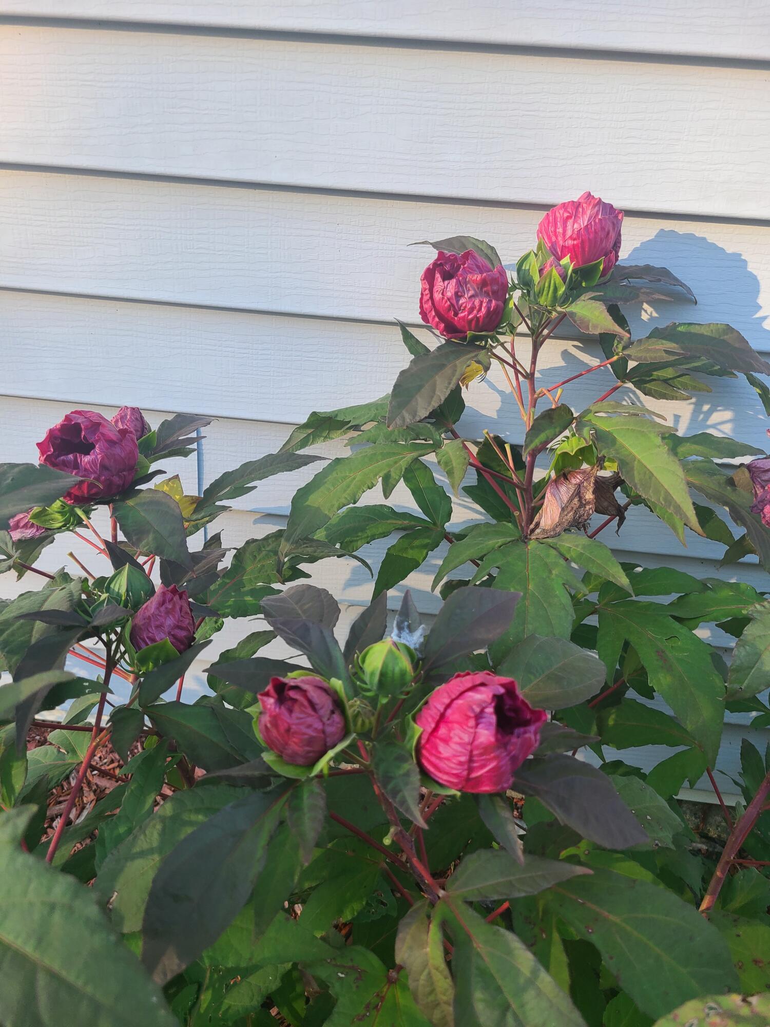 main property photo 70