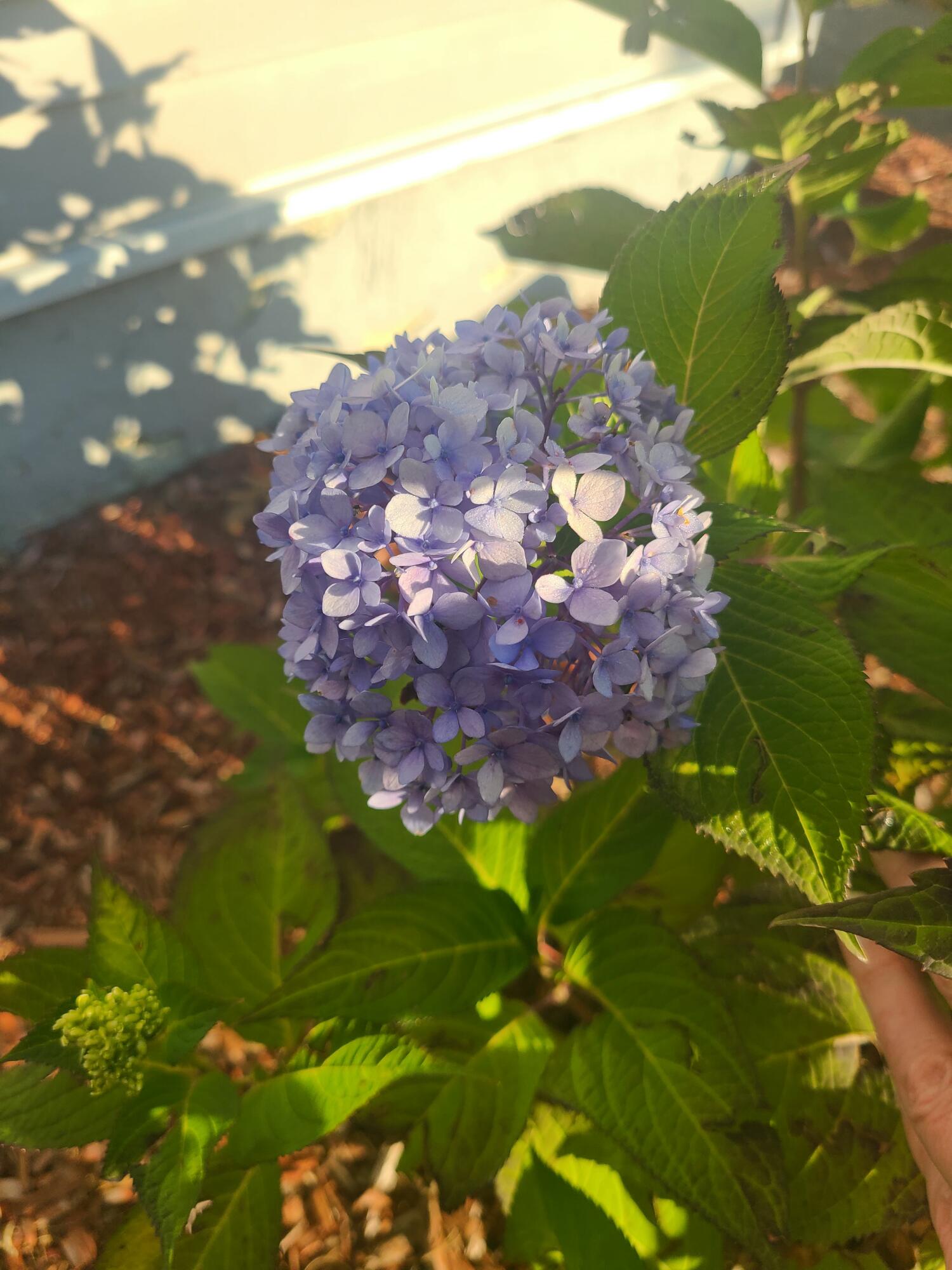 main property photo 74