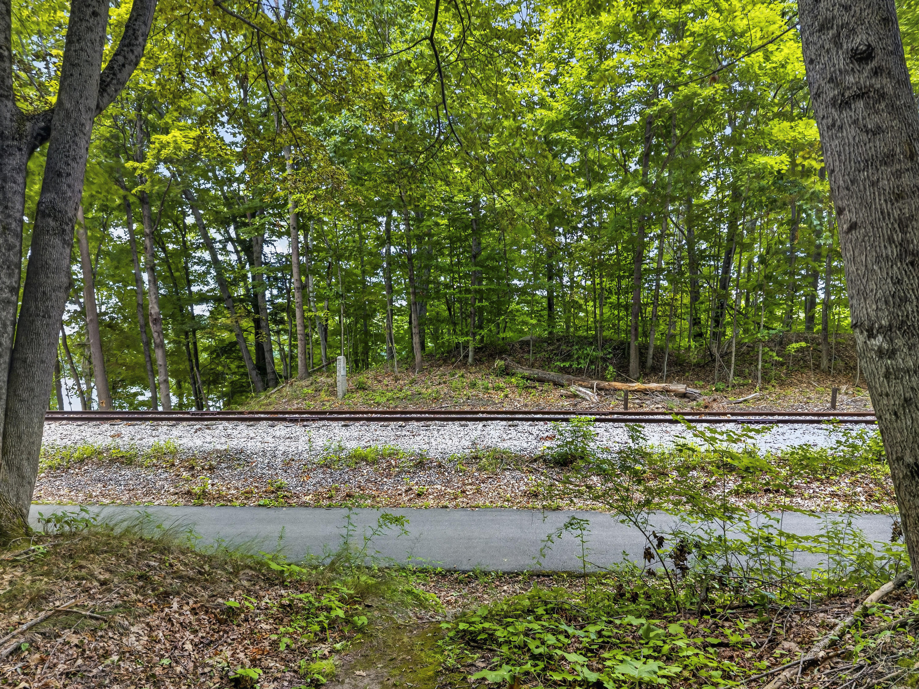 main property photo 67