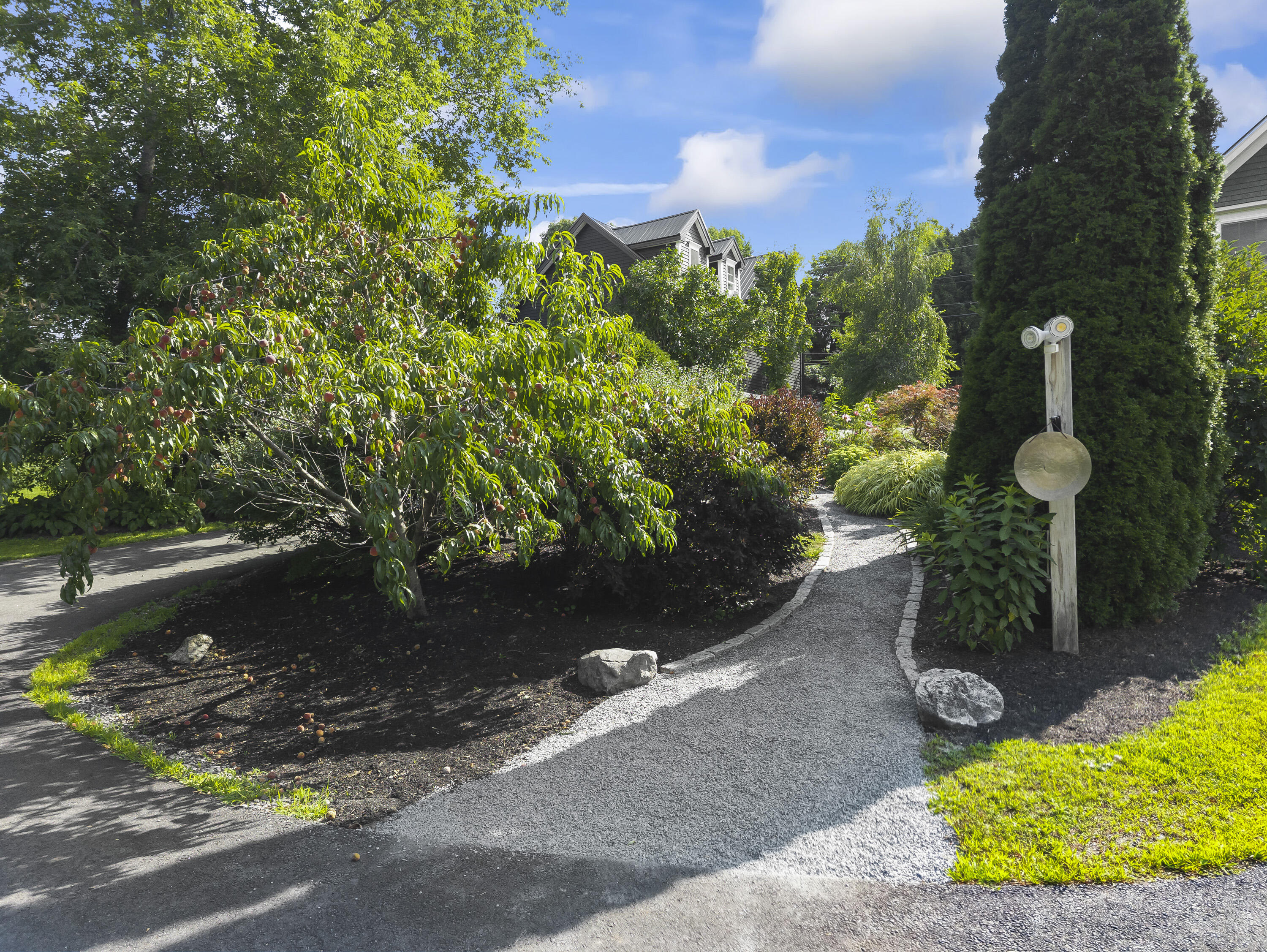 main property photo 56