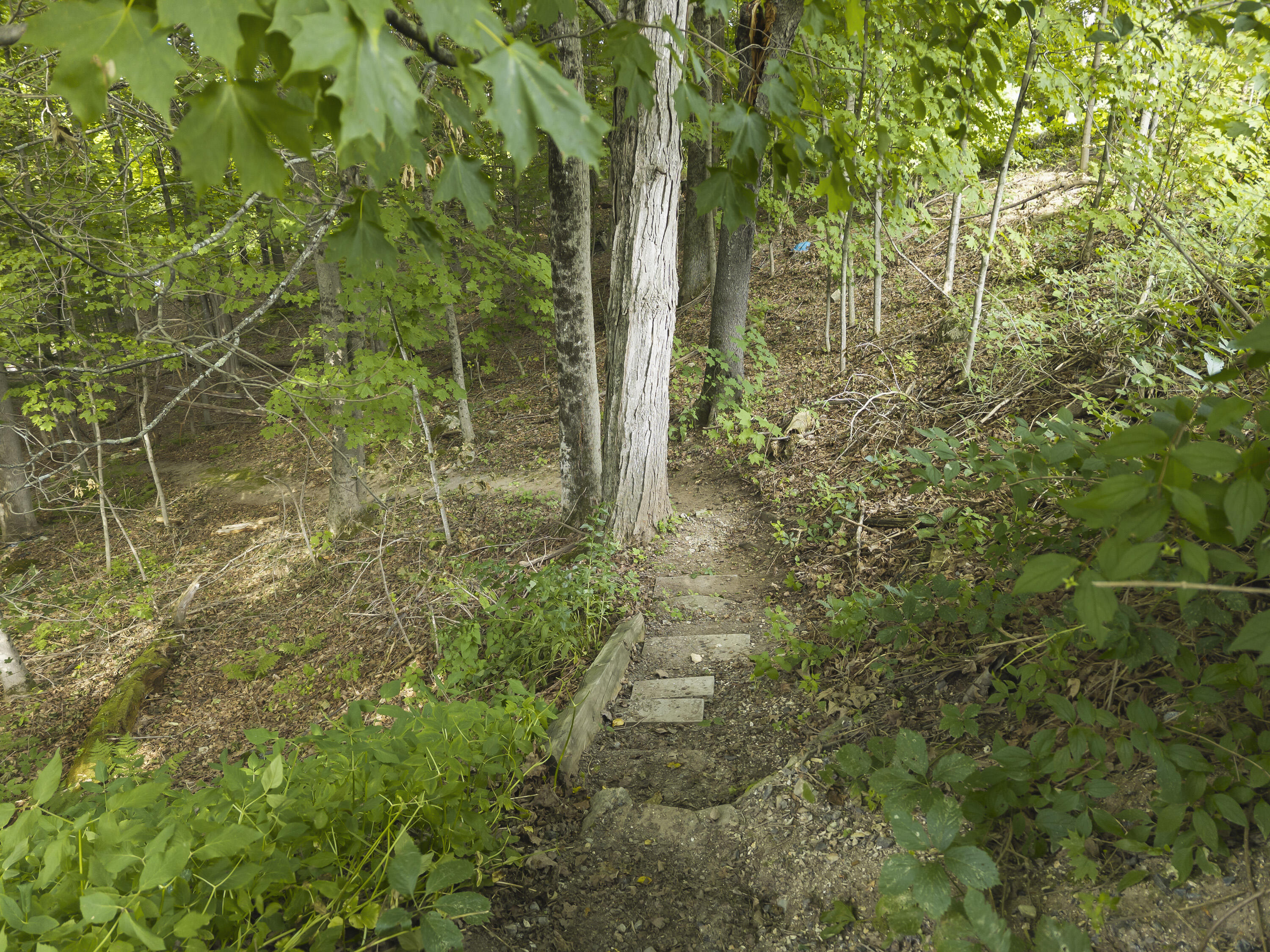 main property photo 65