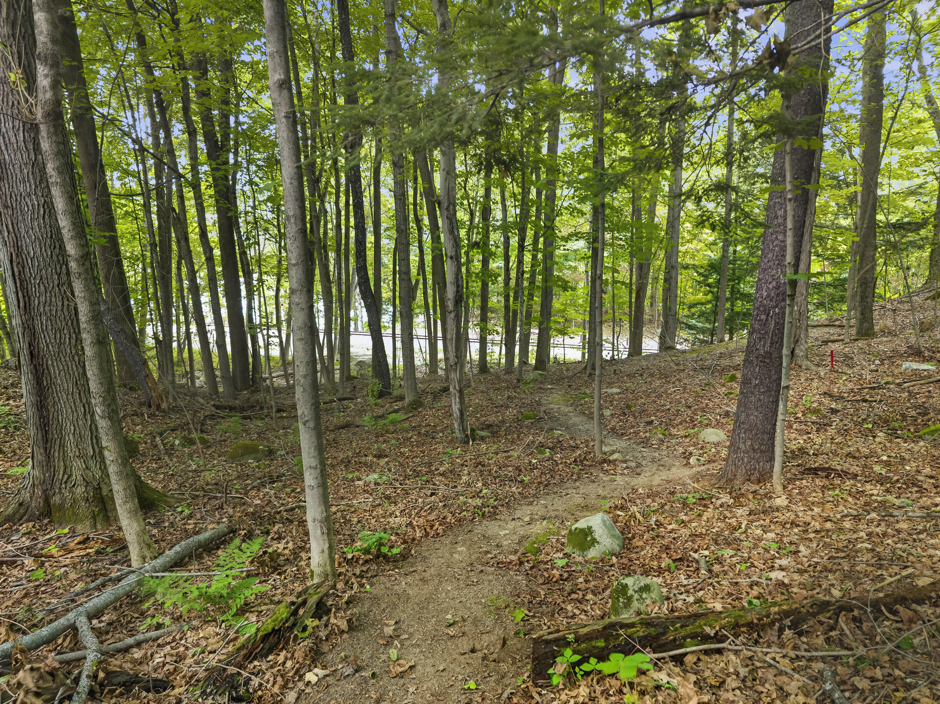 main property photo 66