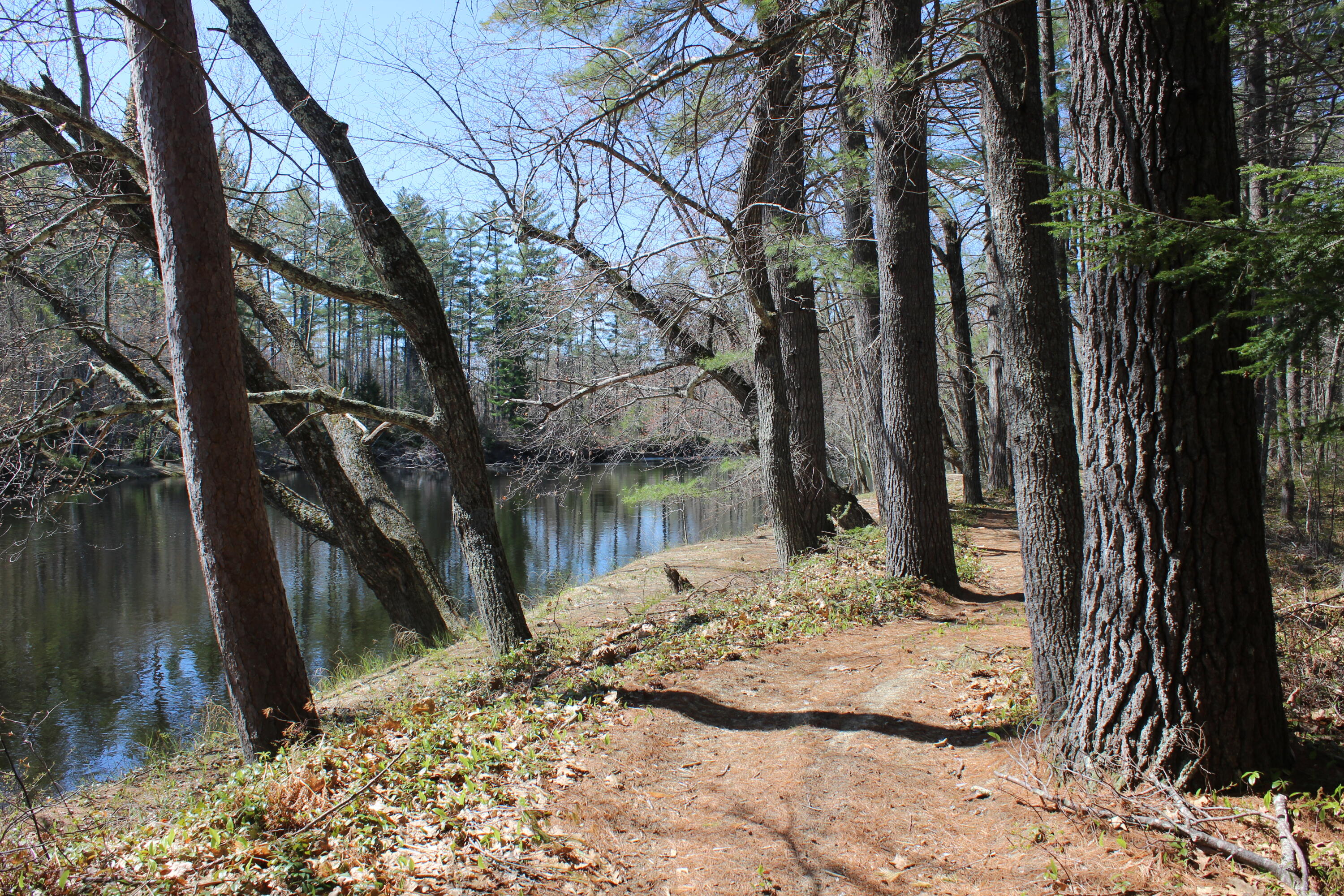main property photo 52