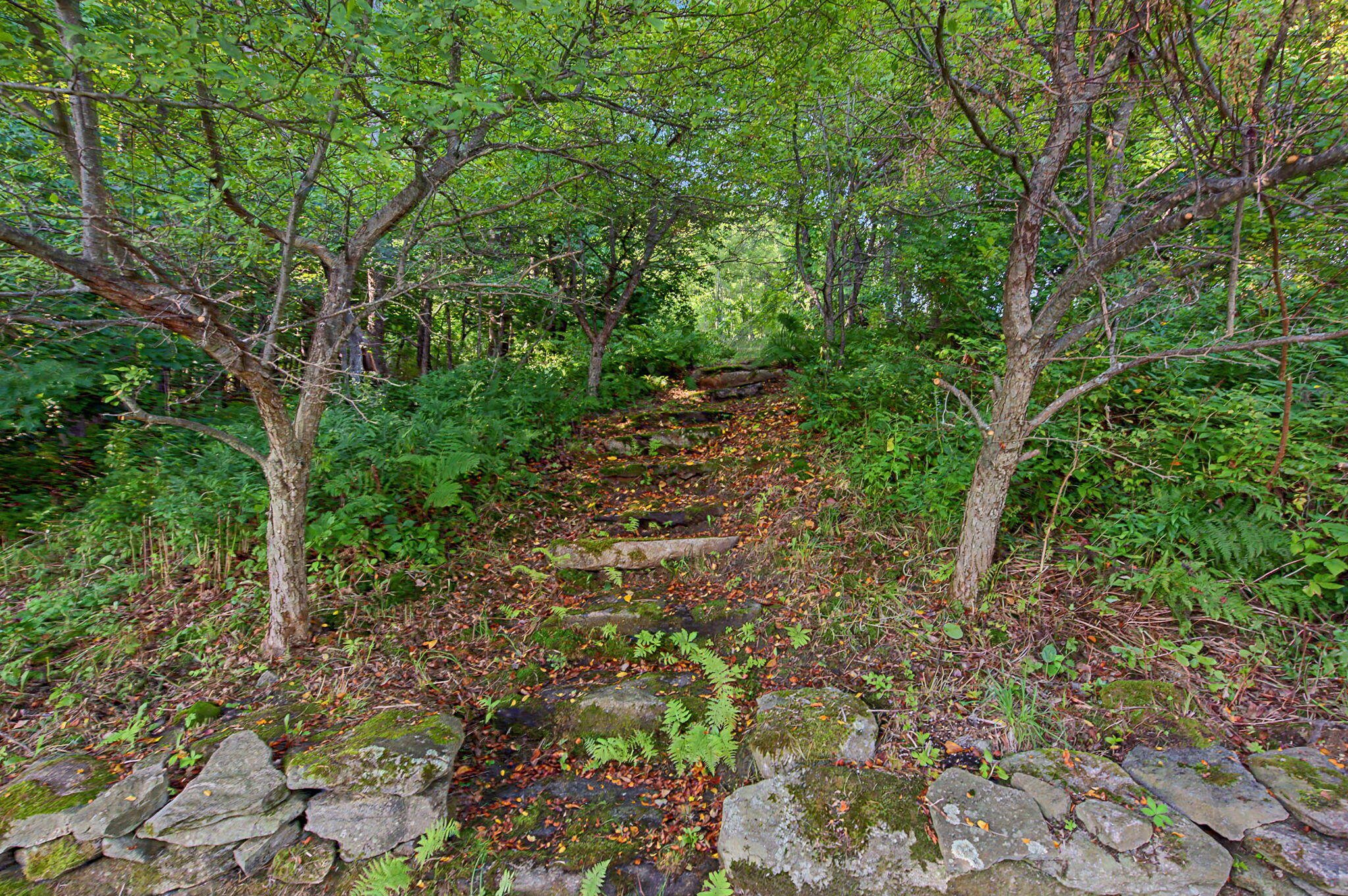 main property photo 38