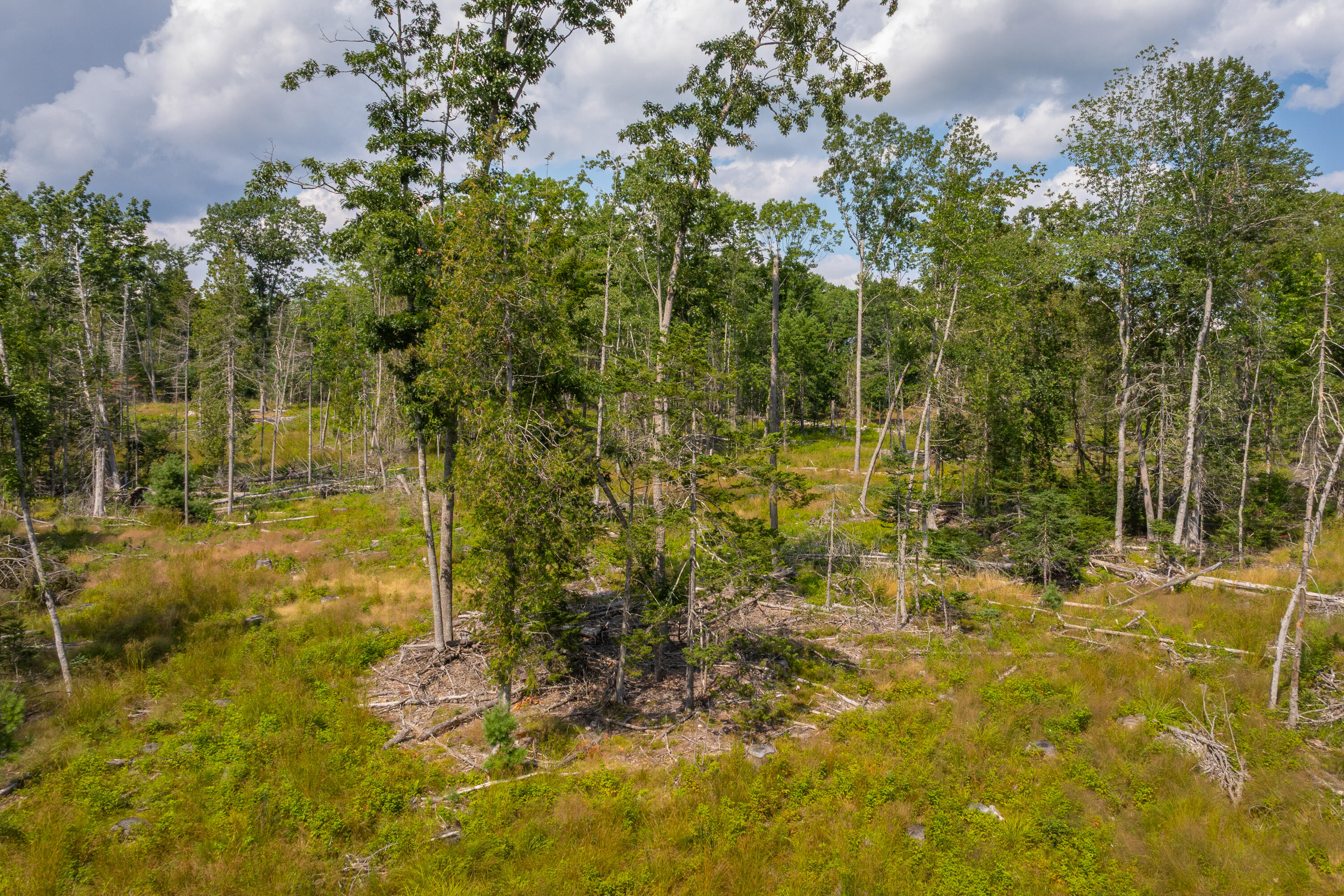 main property photo 56