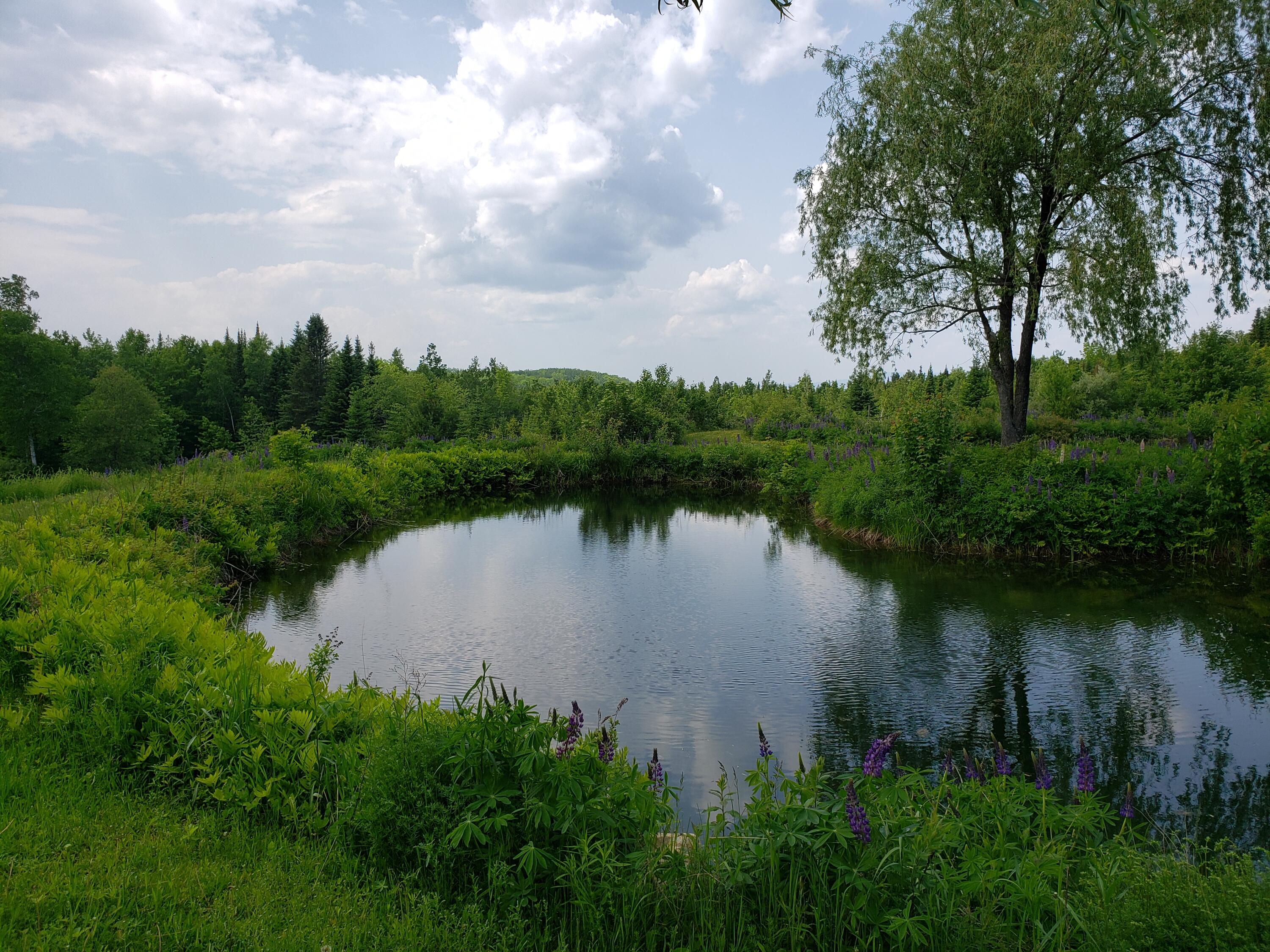 main property photo 52