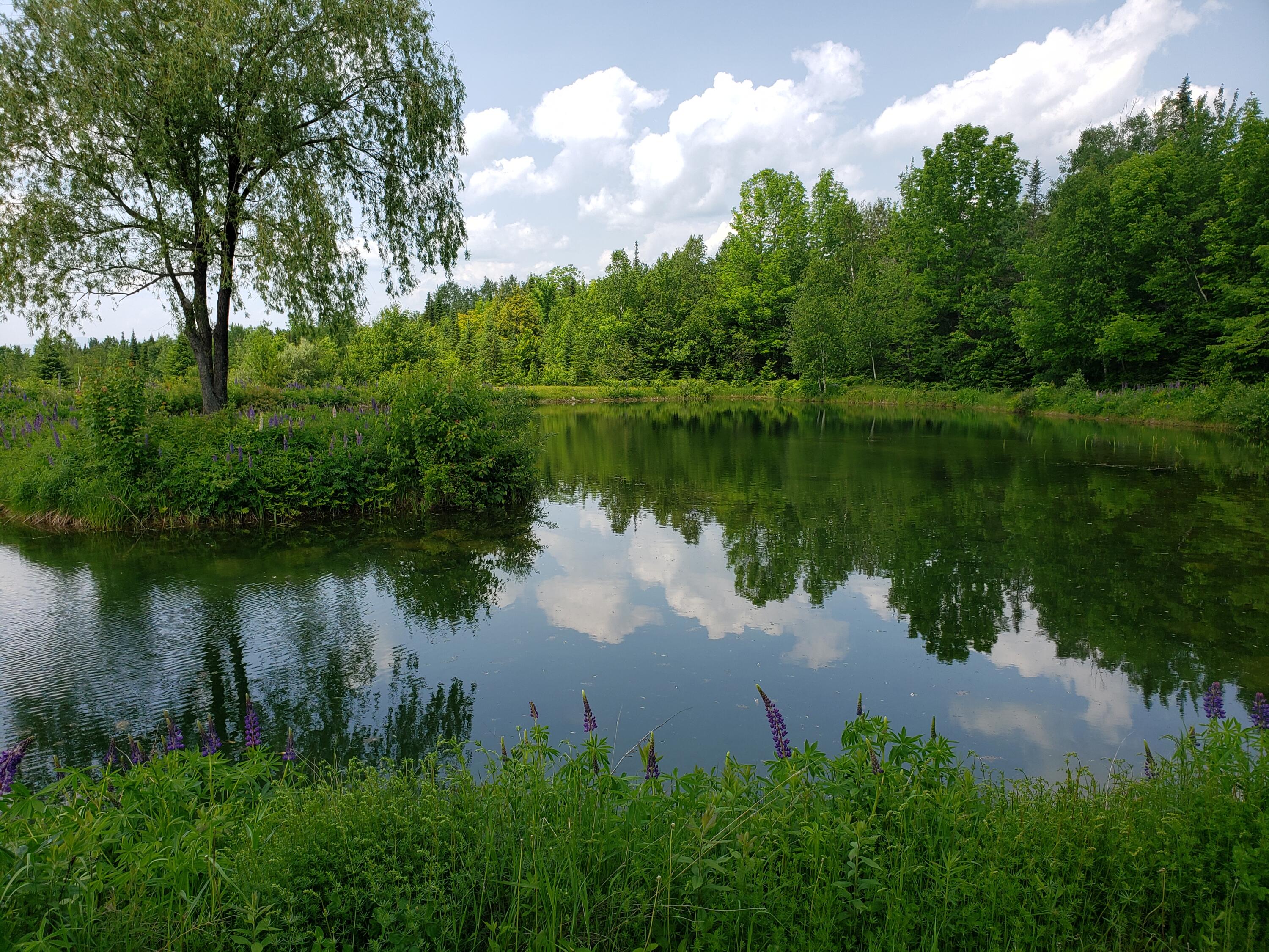 main property photo 53