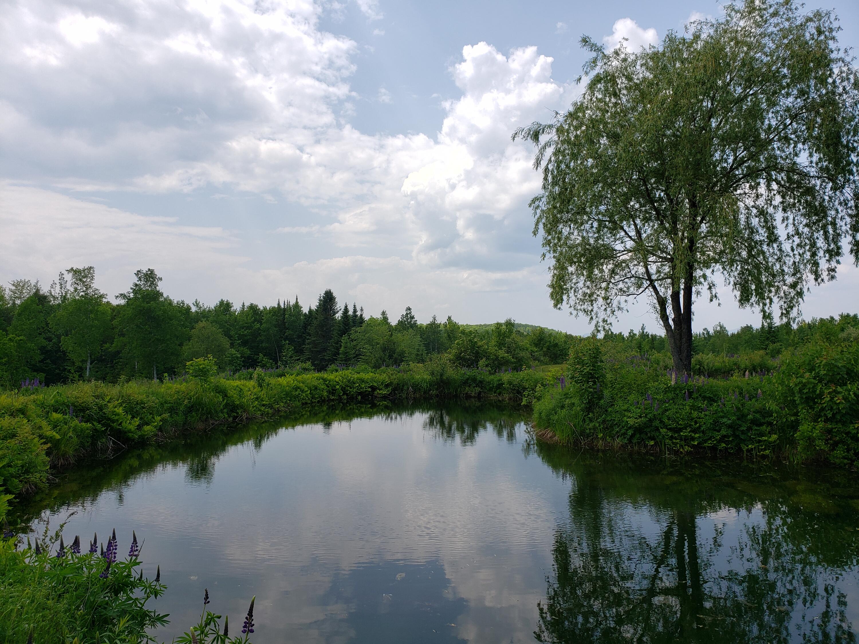 main property photo 55