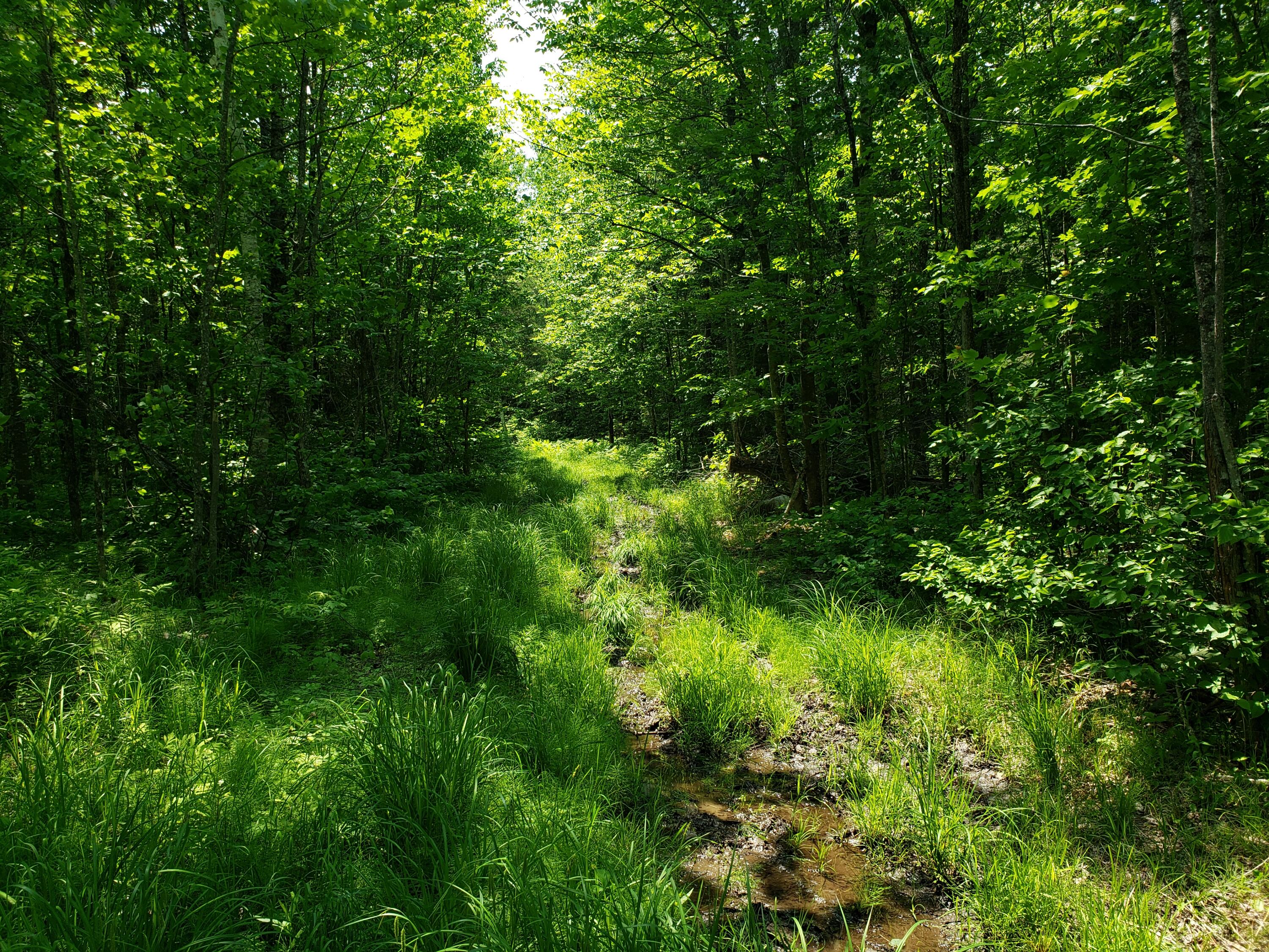 main property photo 70