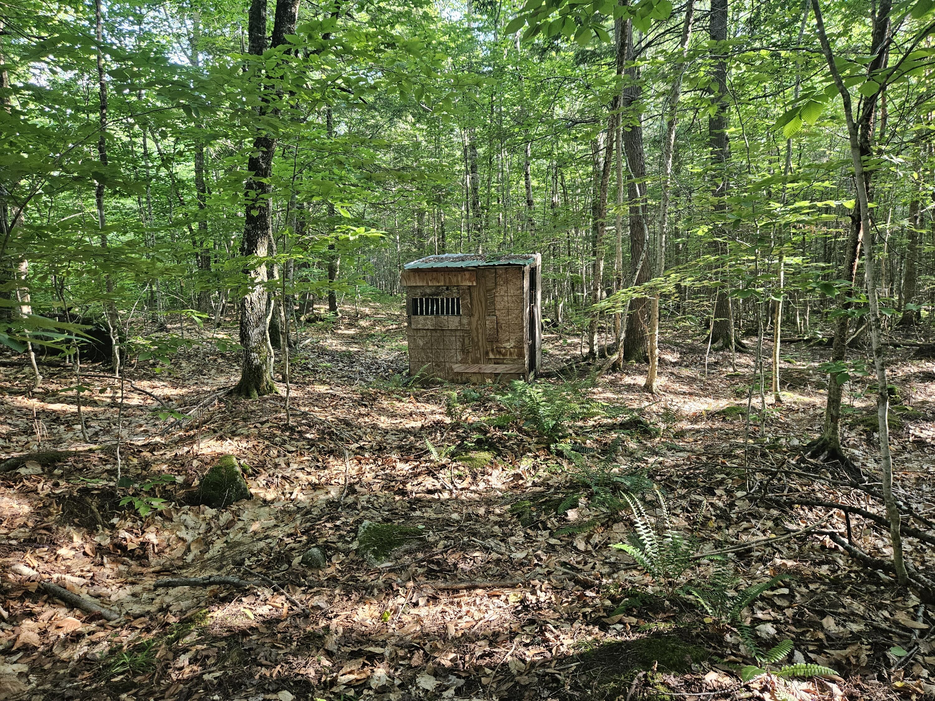 main property photo 78