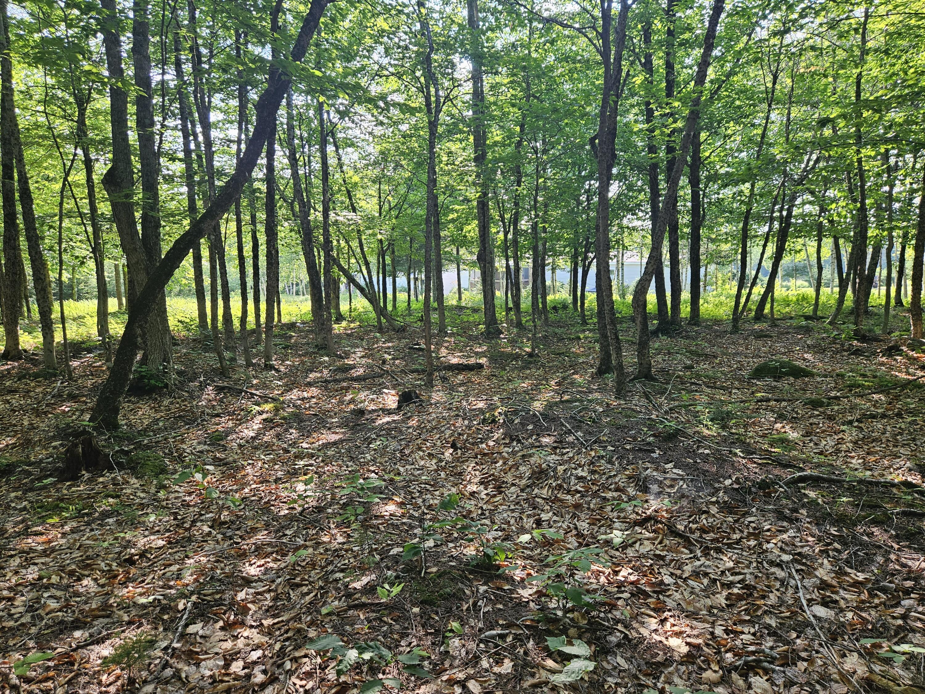 main property photo 79
