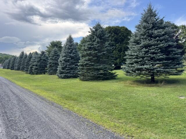 main property photo 44