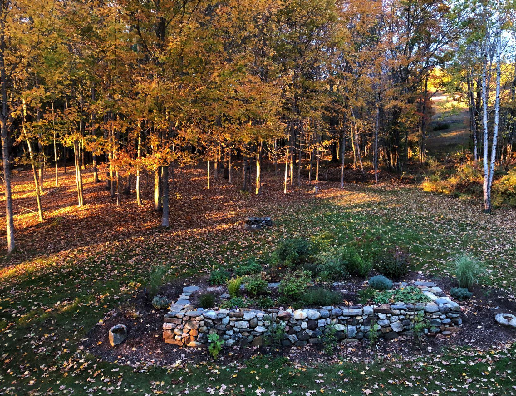 main property photo 55
