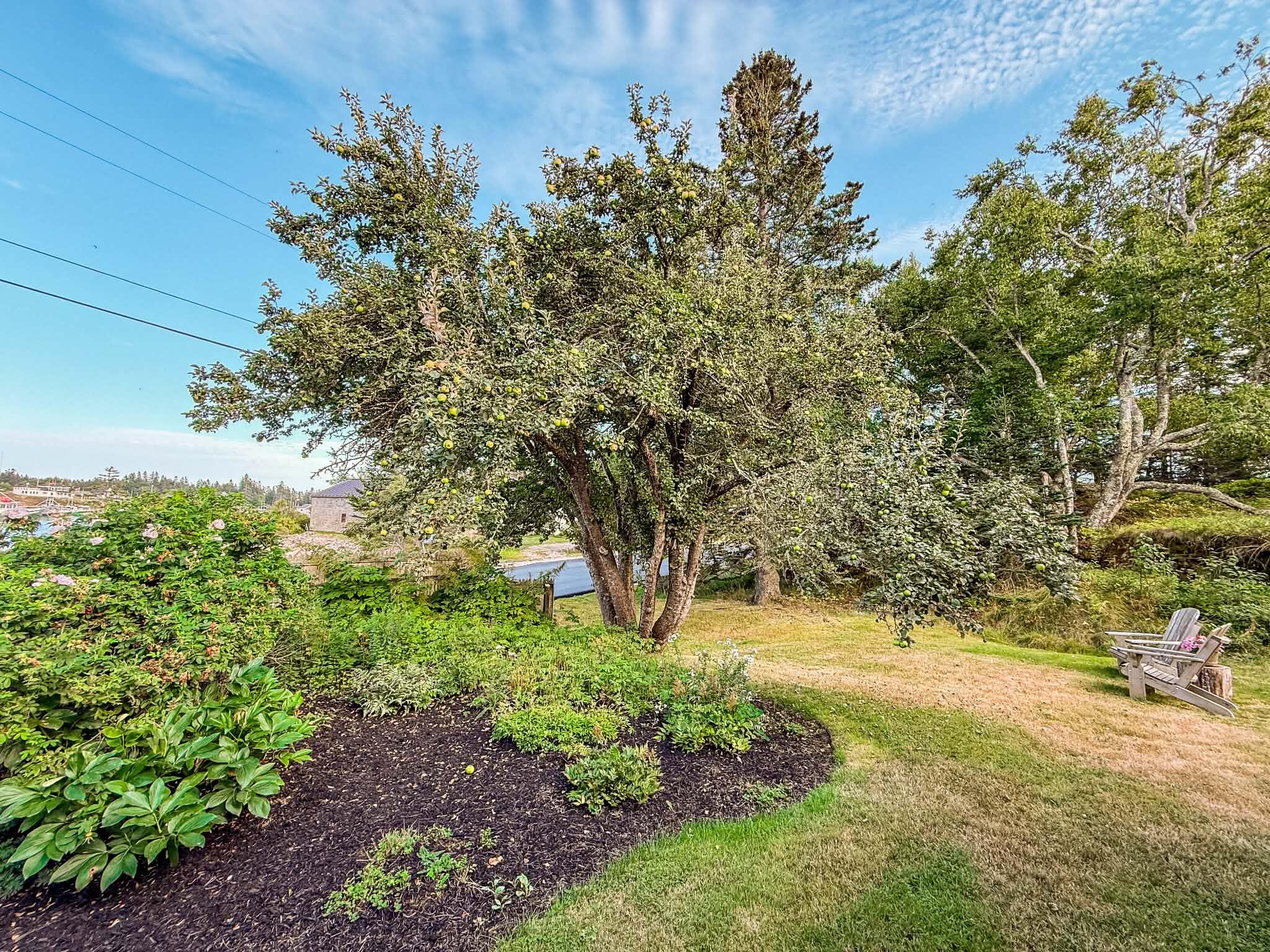 main property photo 51