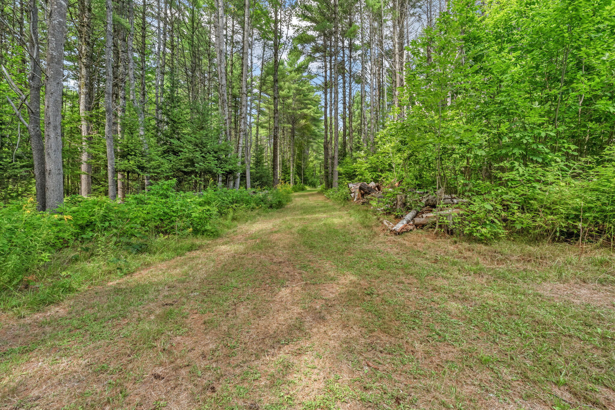 main property photo 61