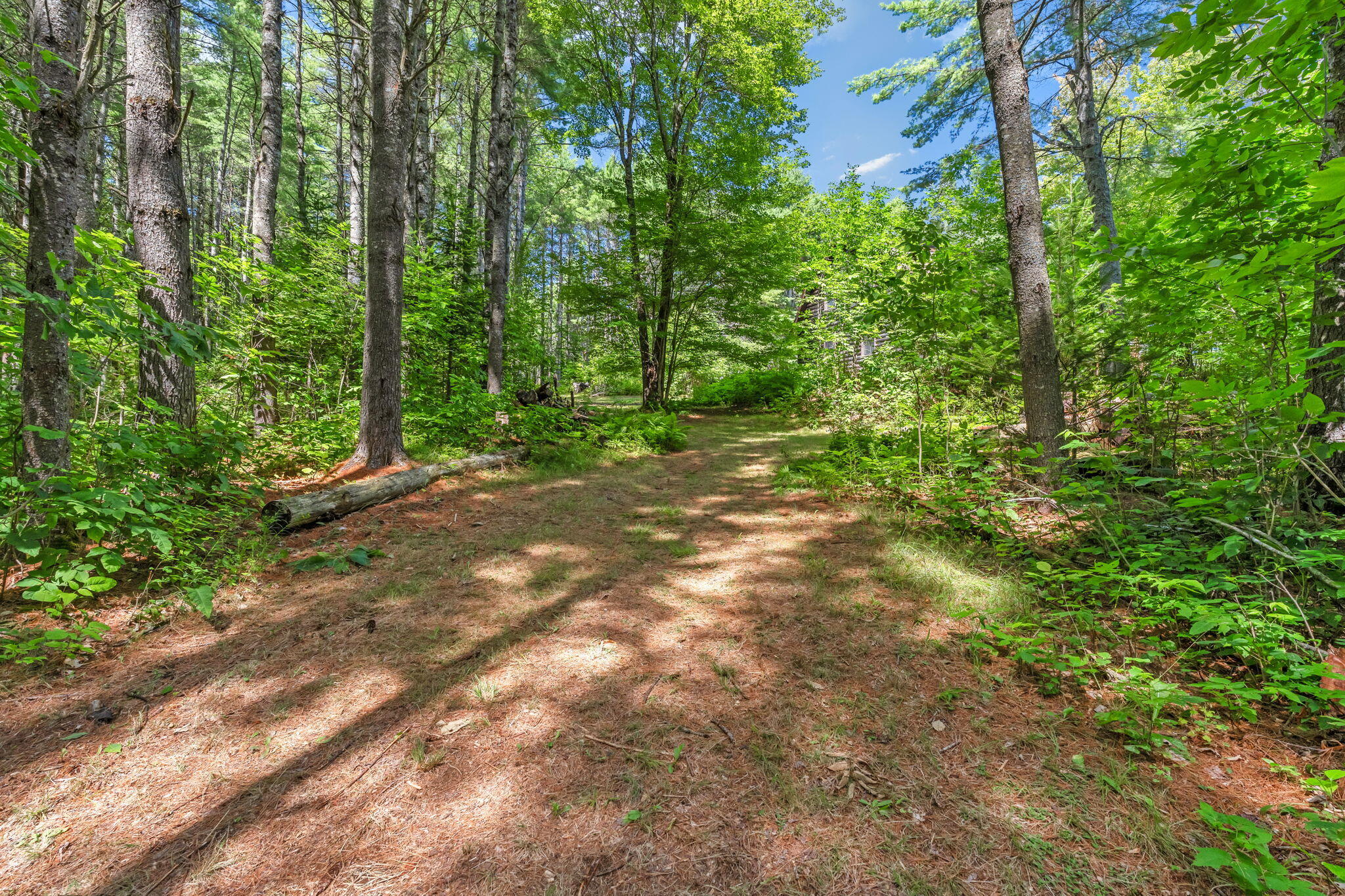 main property photo 62
