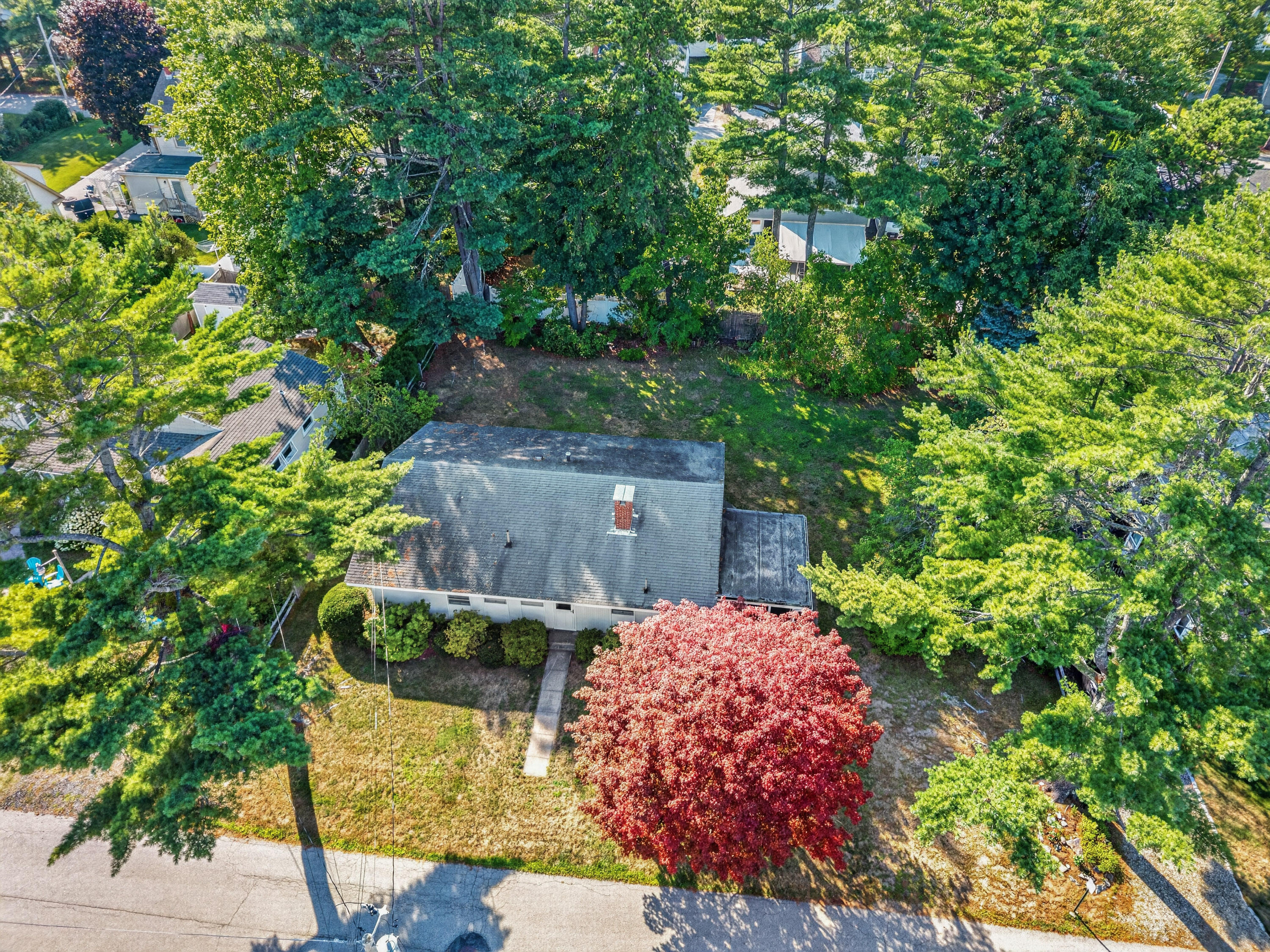 main property photo 44