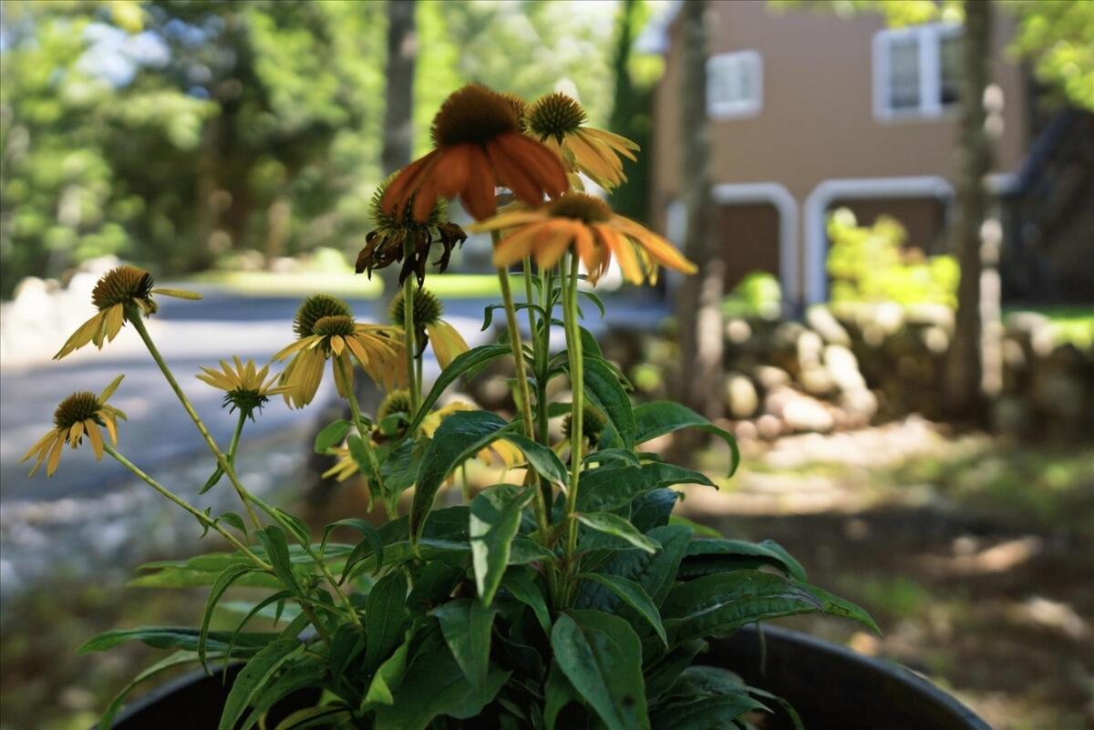 main property photo 147