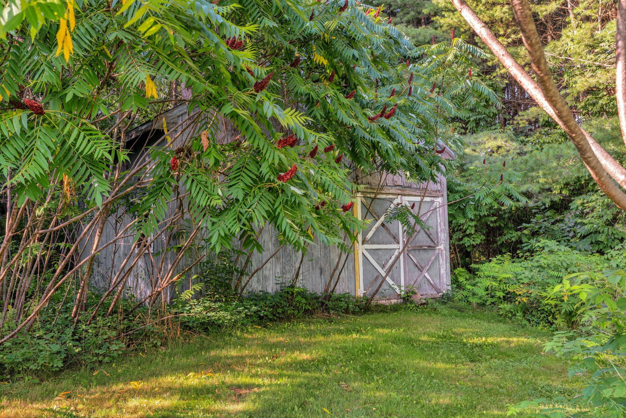 main property photo 6