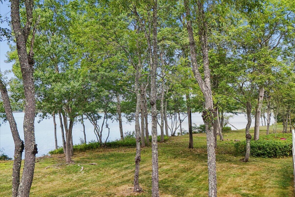 main property photo 63