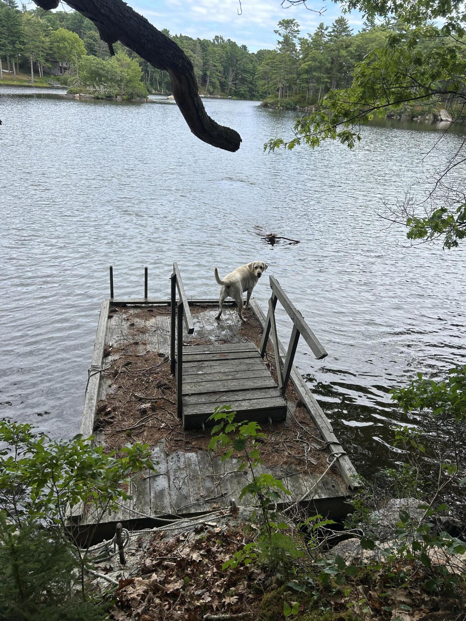 main property photo 69