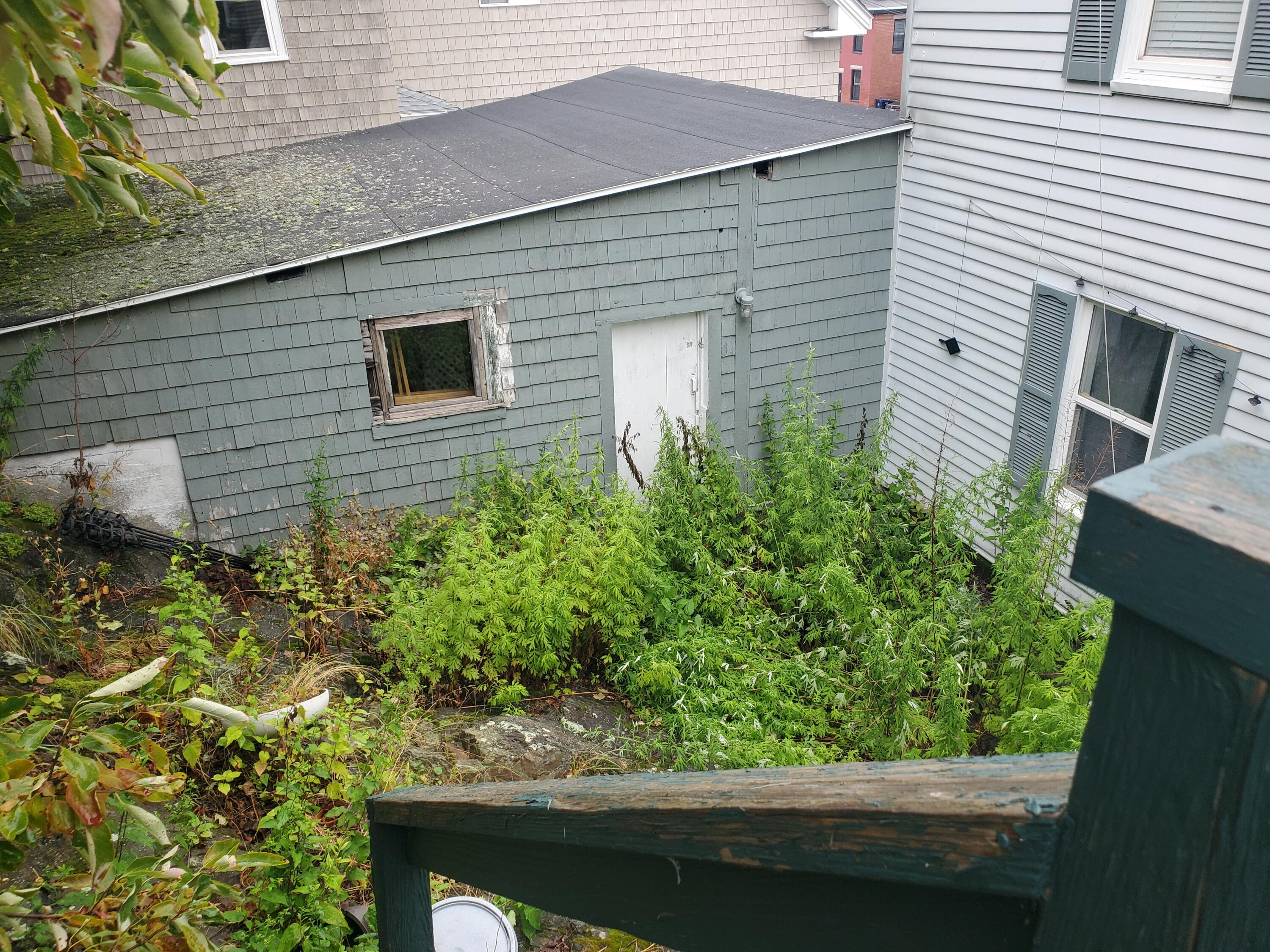 main property photo 15