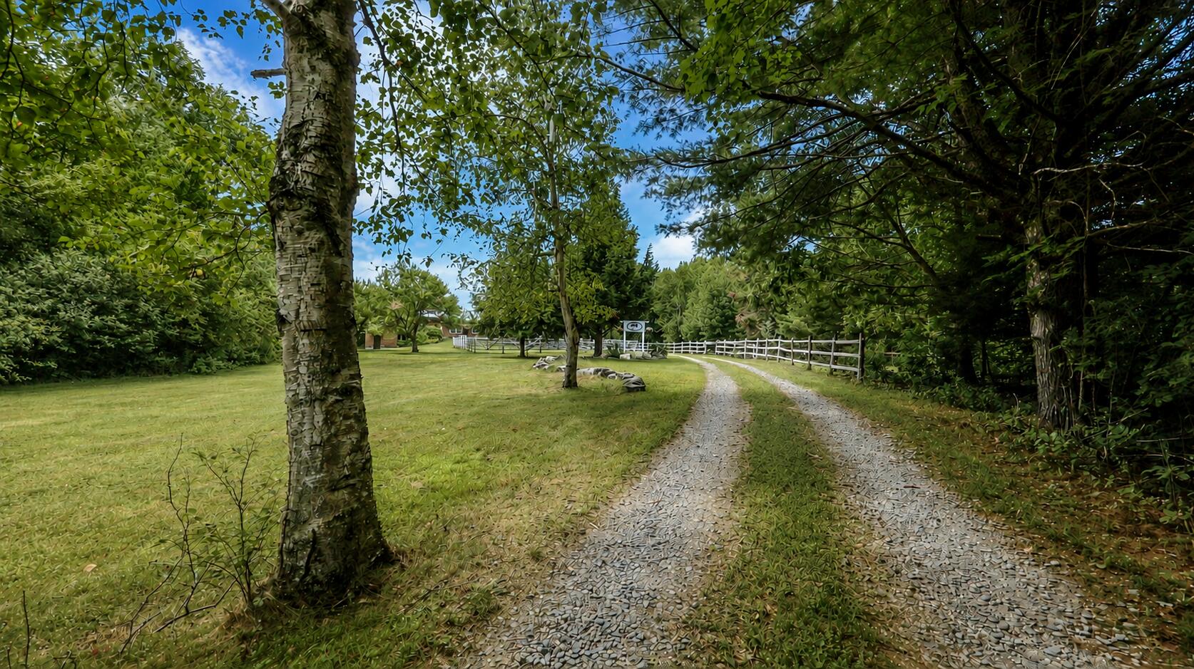 main property photo 59