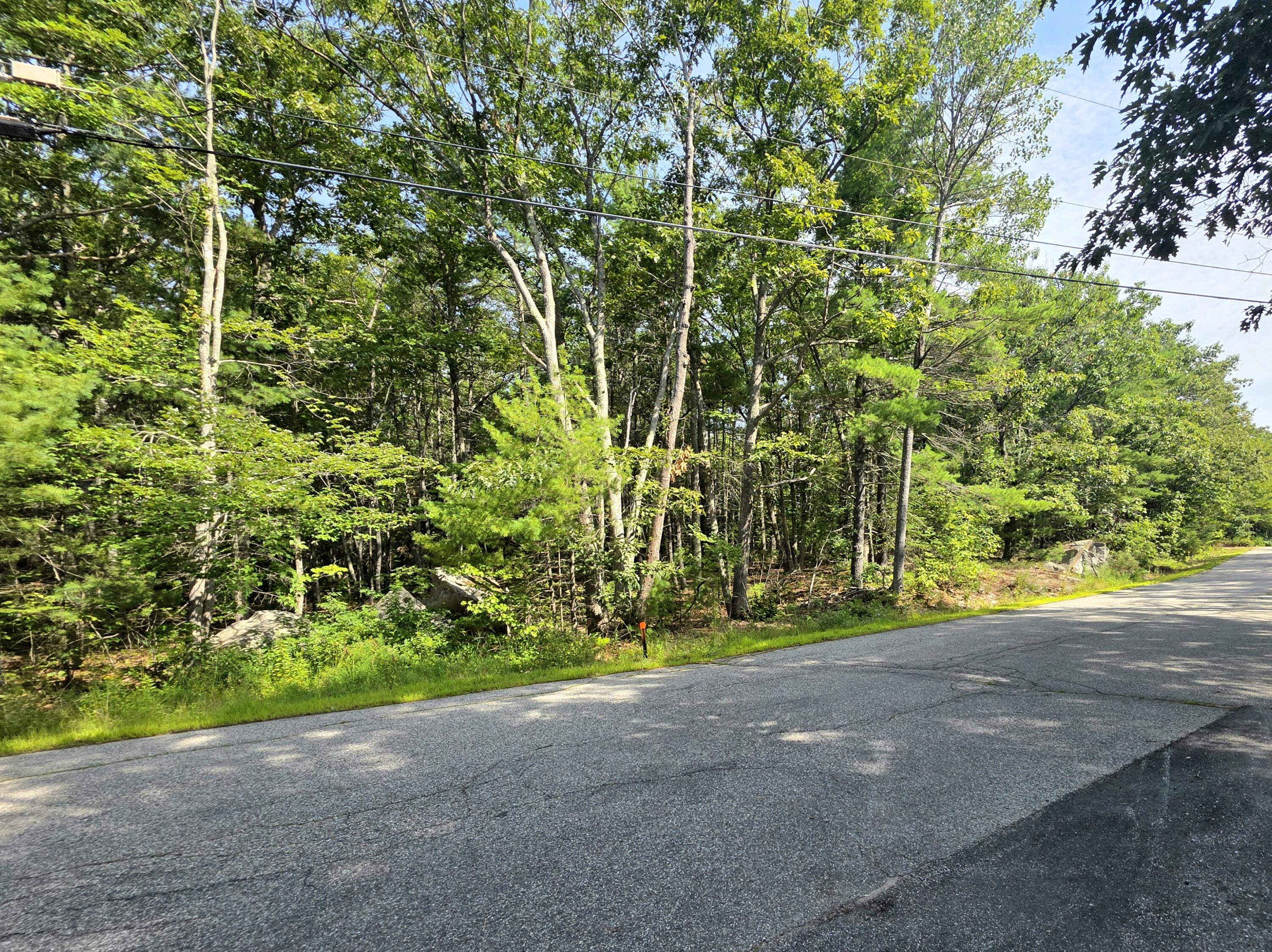 main property photo 64