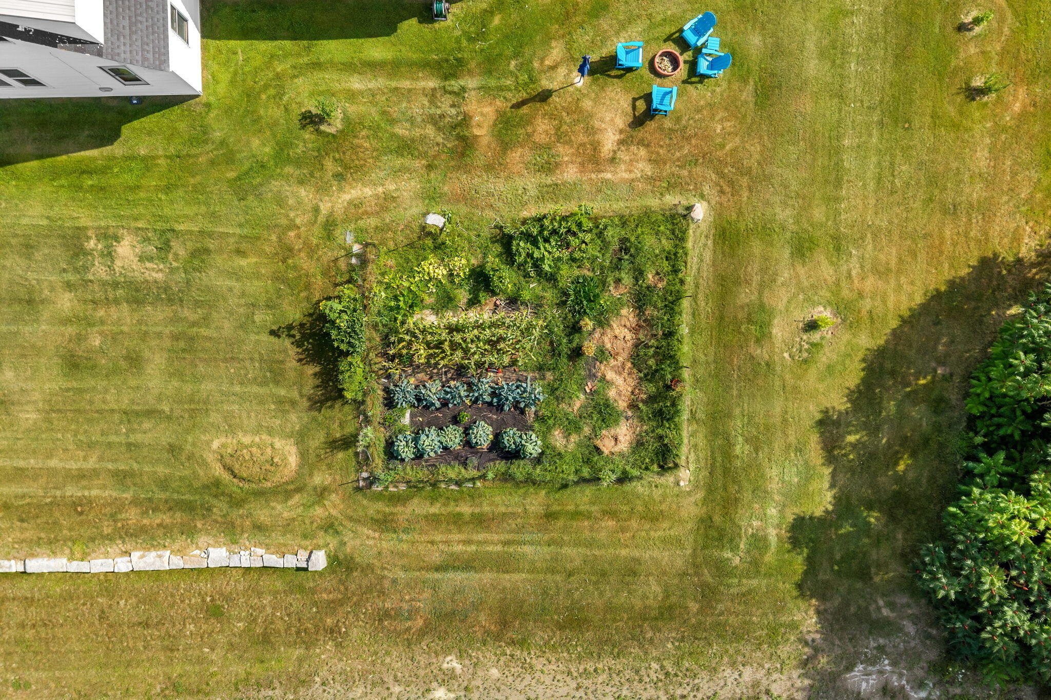 main property photo 59