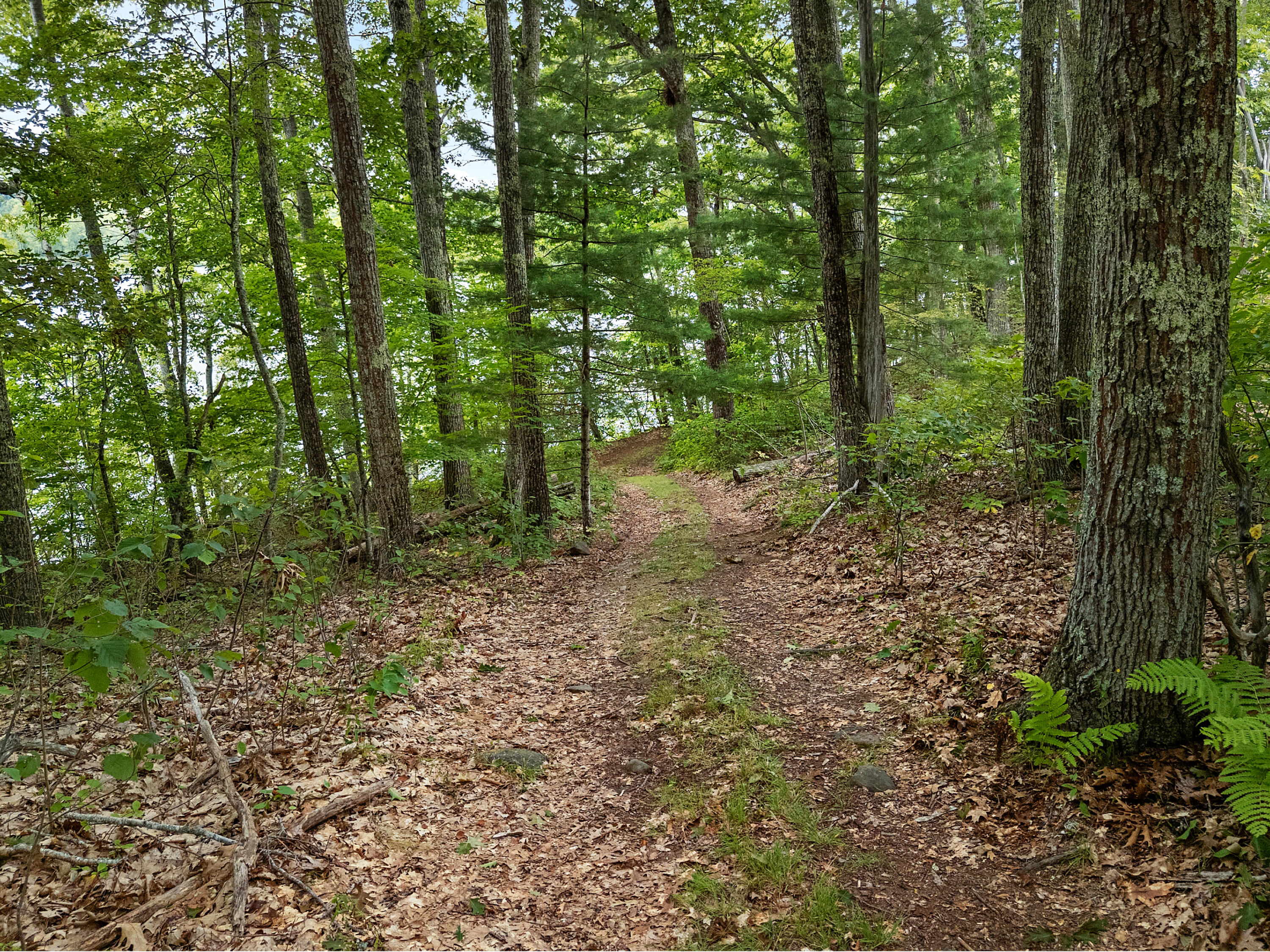 main property photo 40