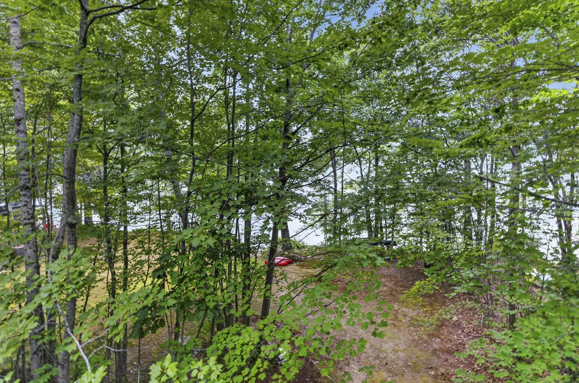 main property photo 50
