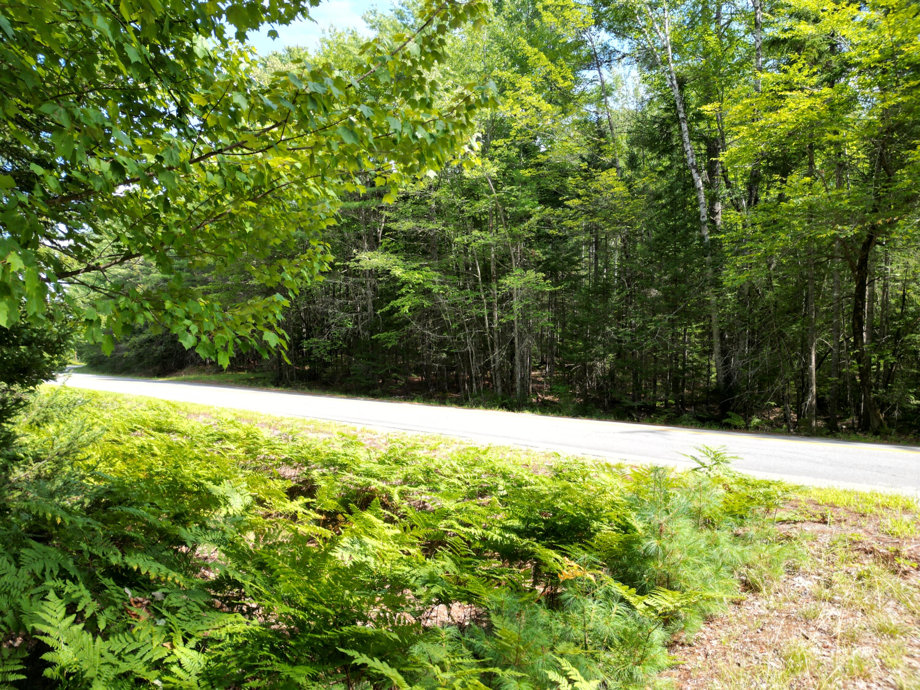 main property photo 11