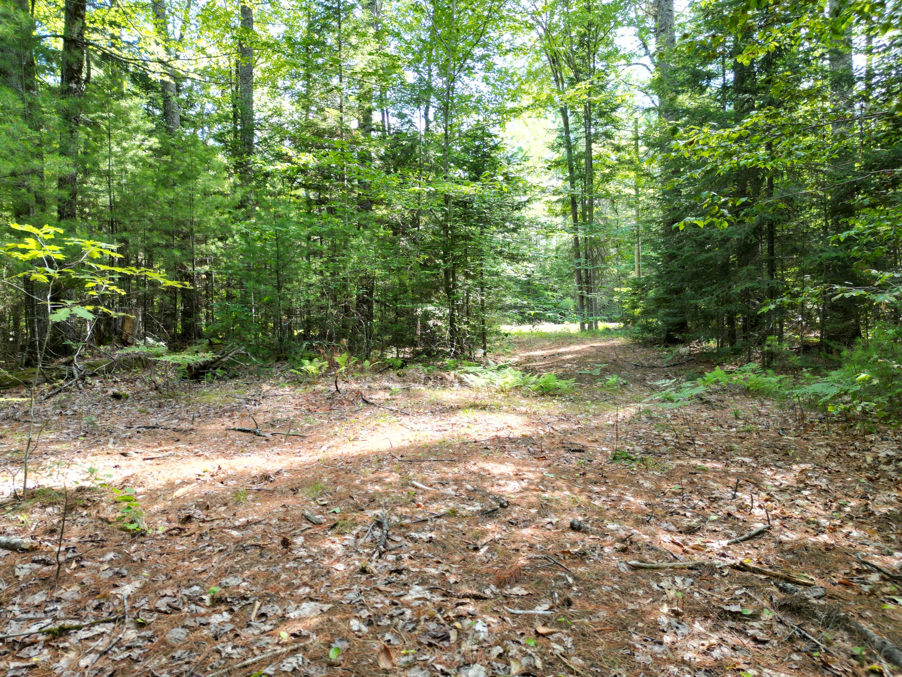 main property photo 8