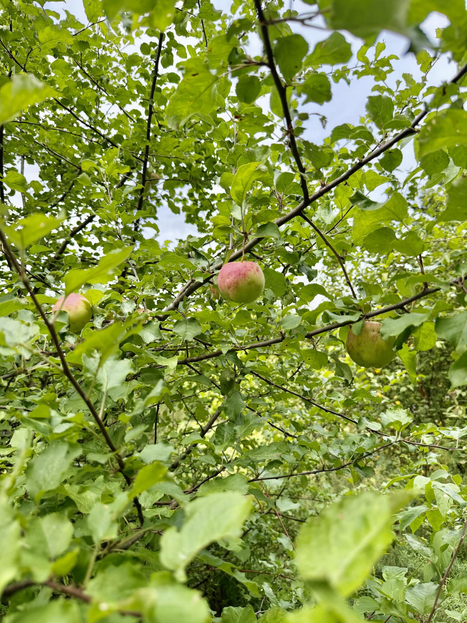 main property photo 28