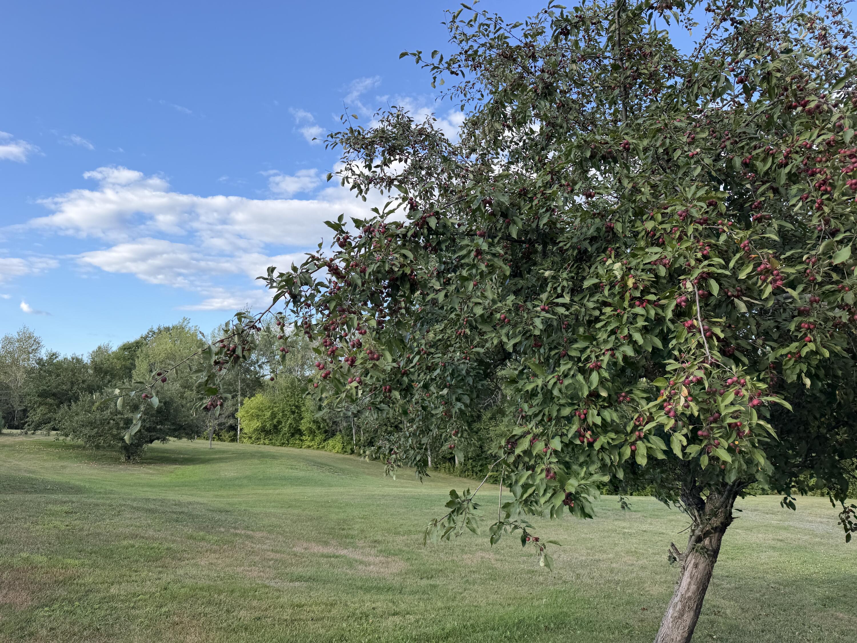 main property photo 25