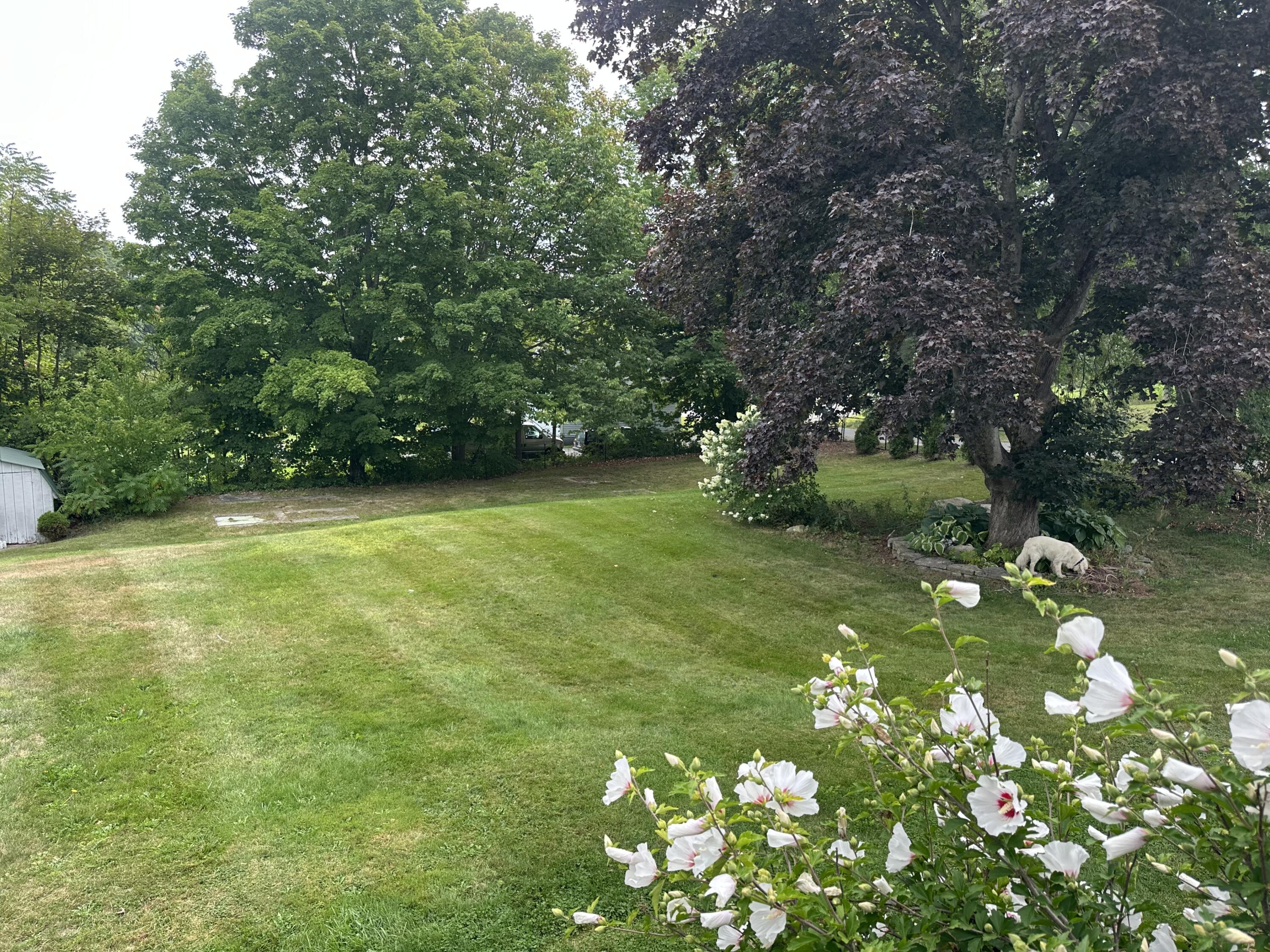 main property photo 62