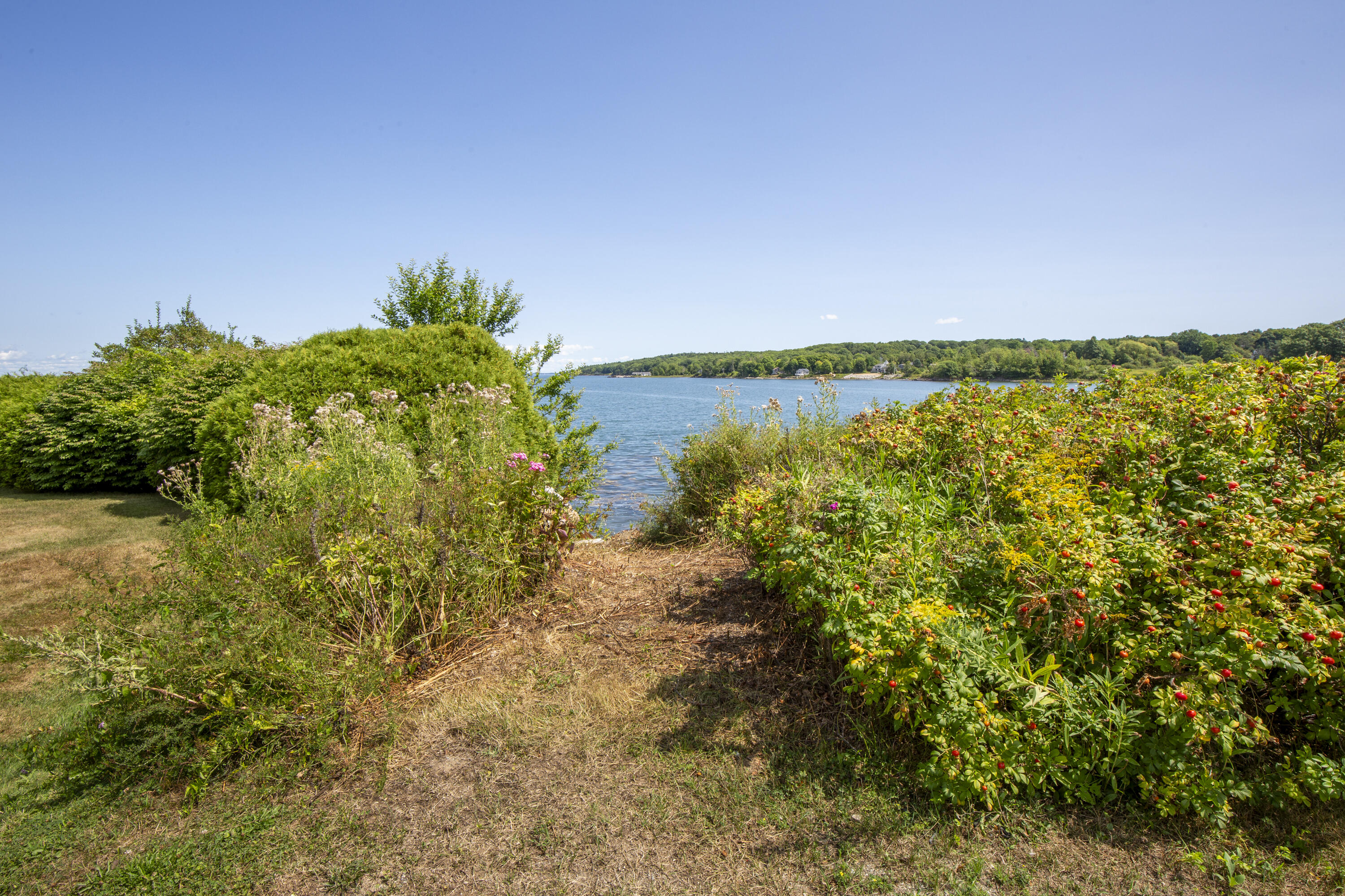 main property photo 42