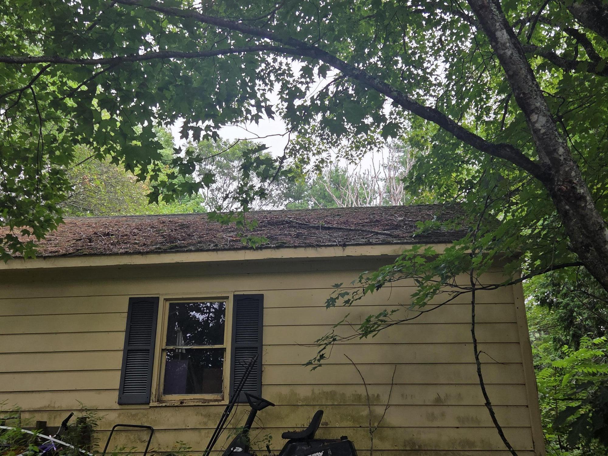 property viewer photo 1