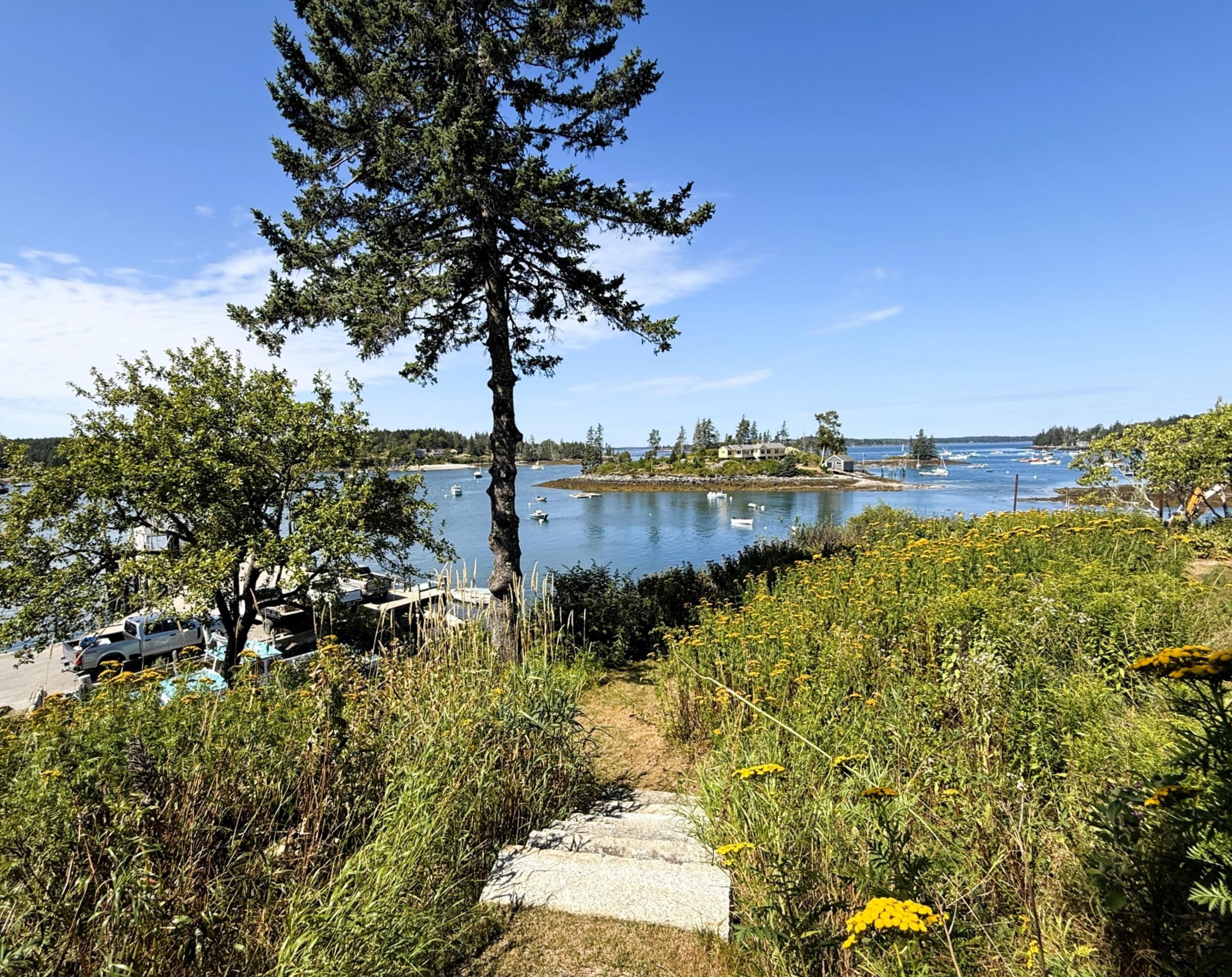 main property photo 25