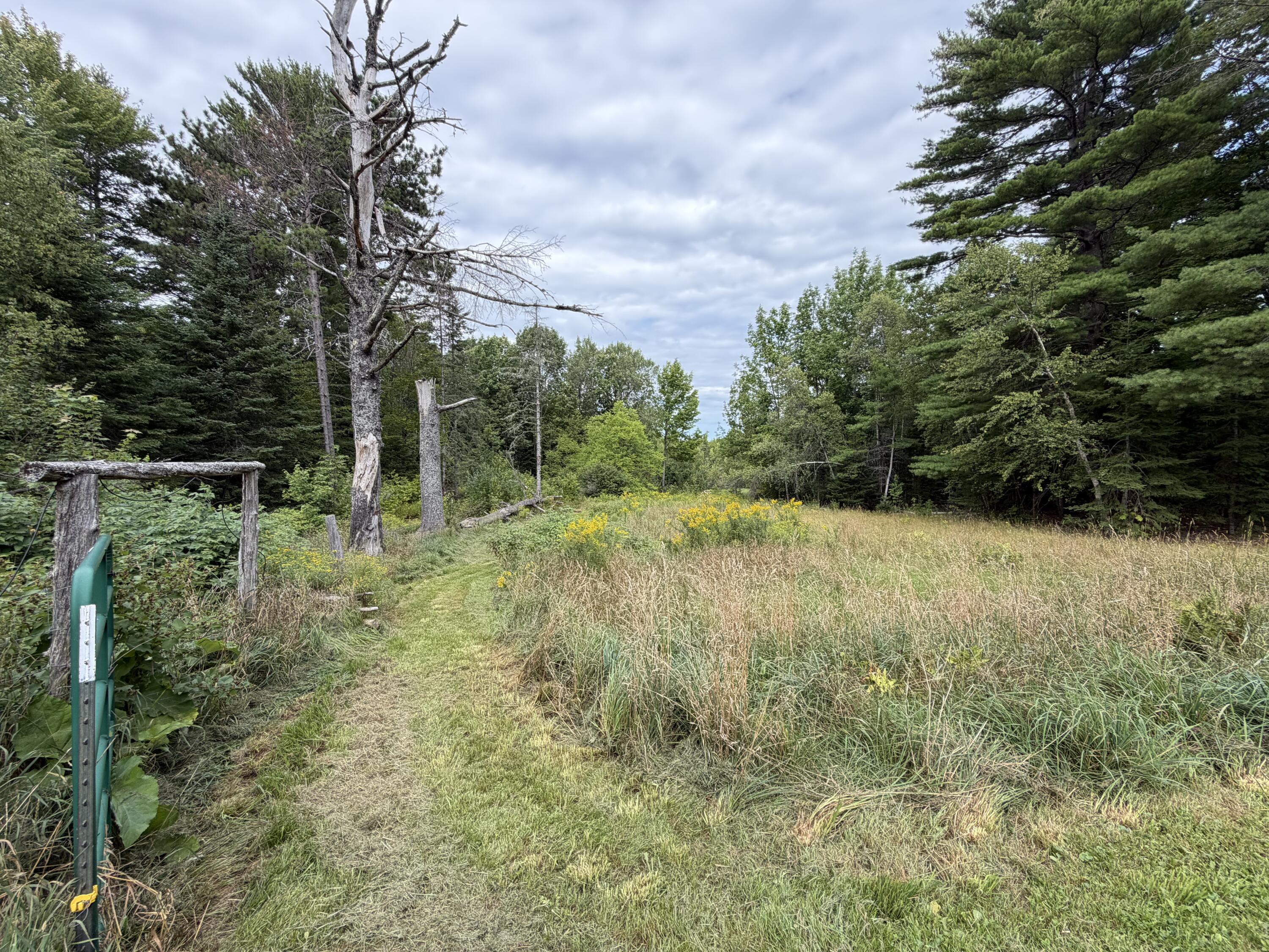 main property photo 23