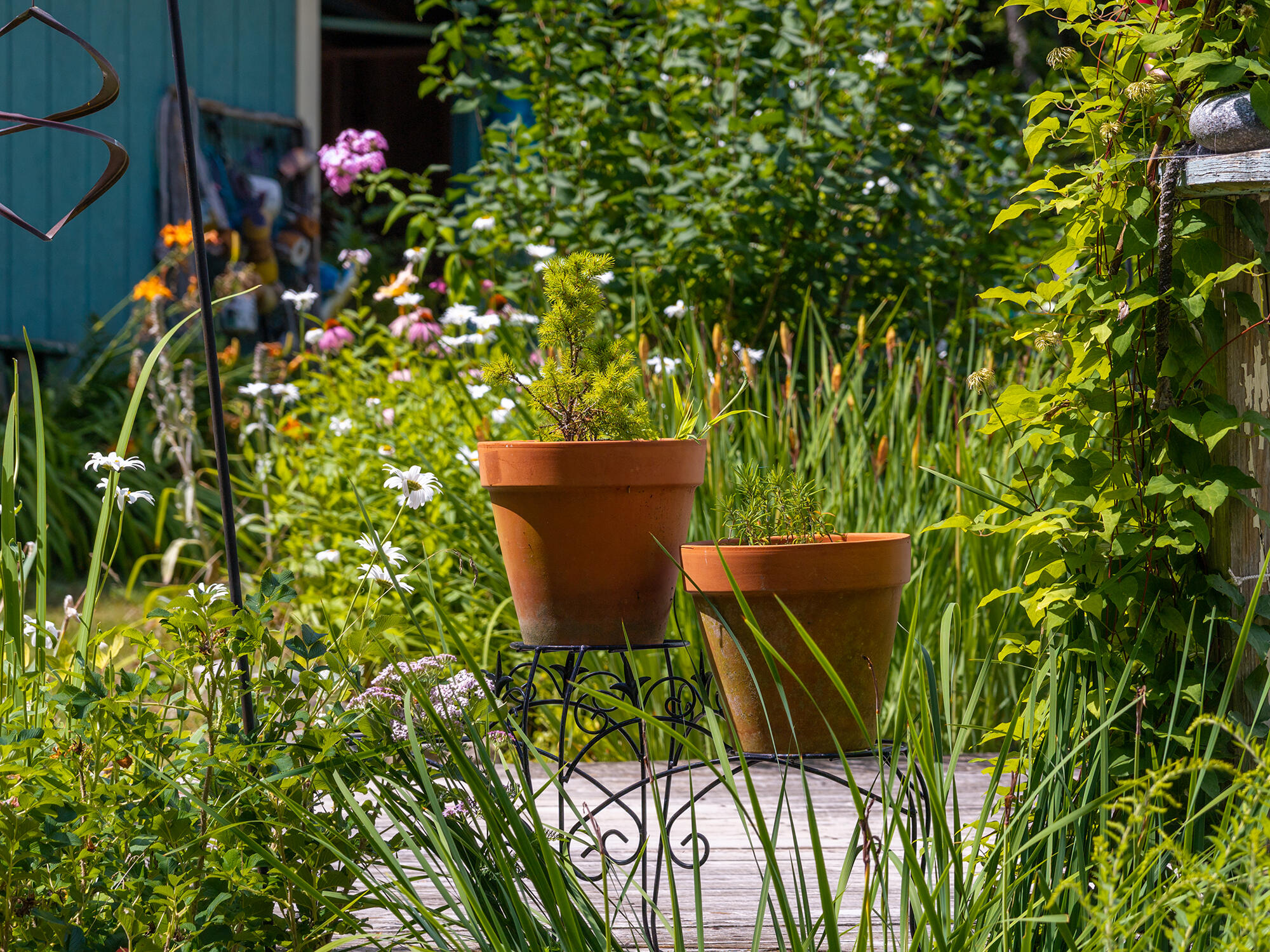 main property photo 41