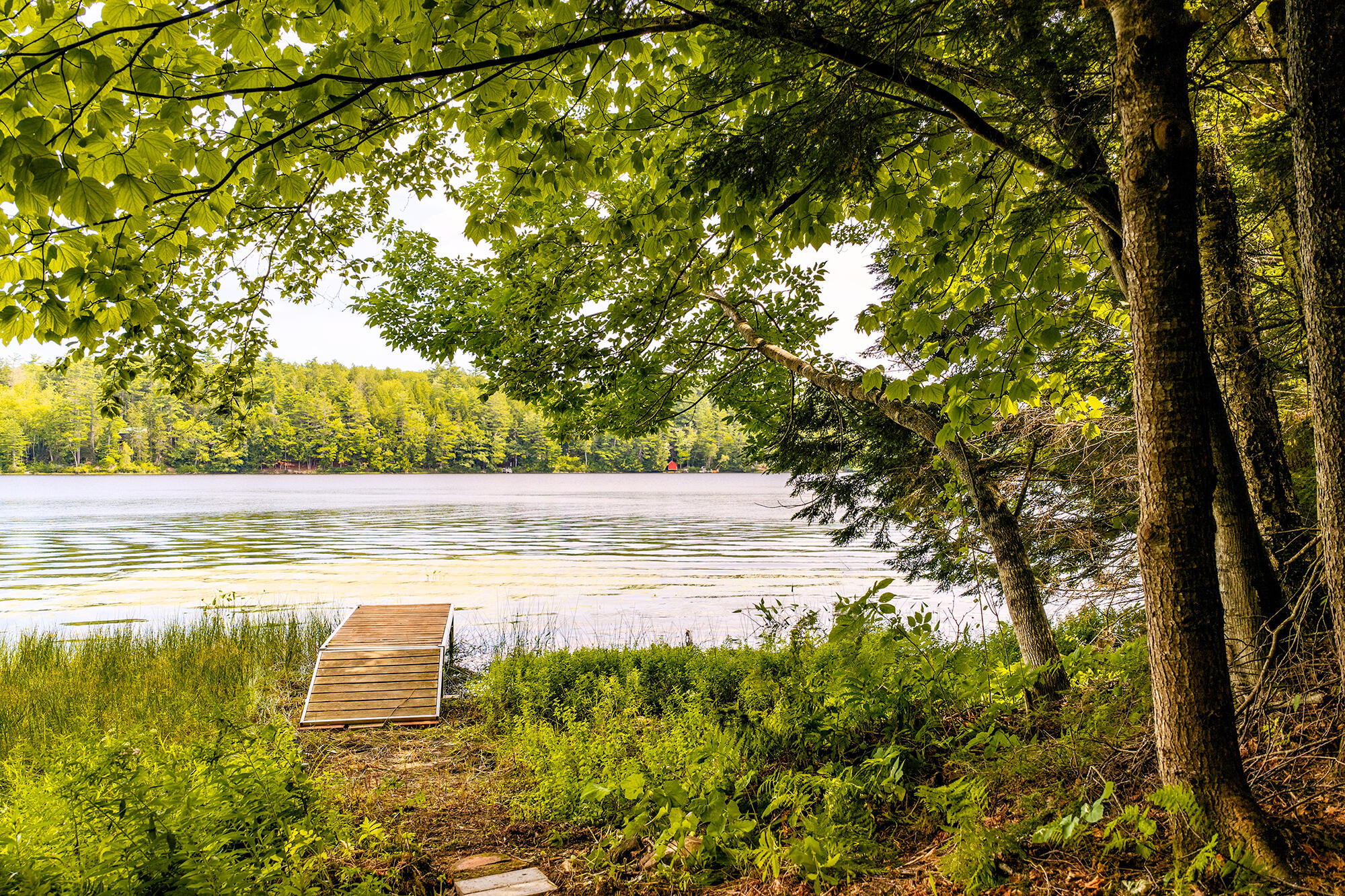 main property photo 43