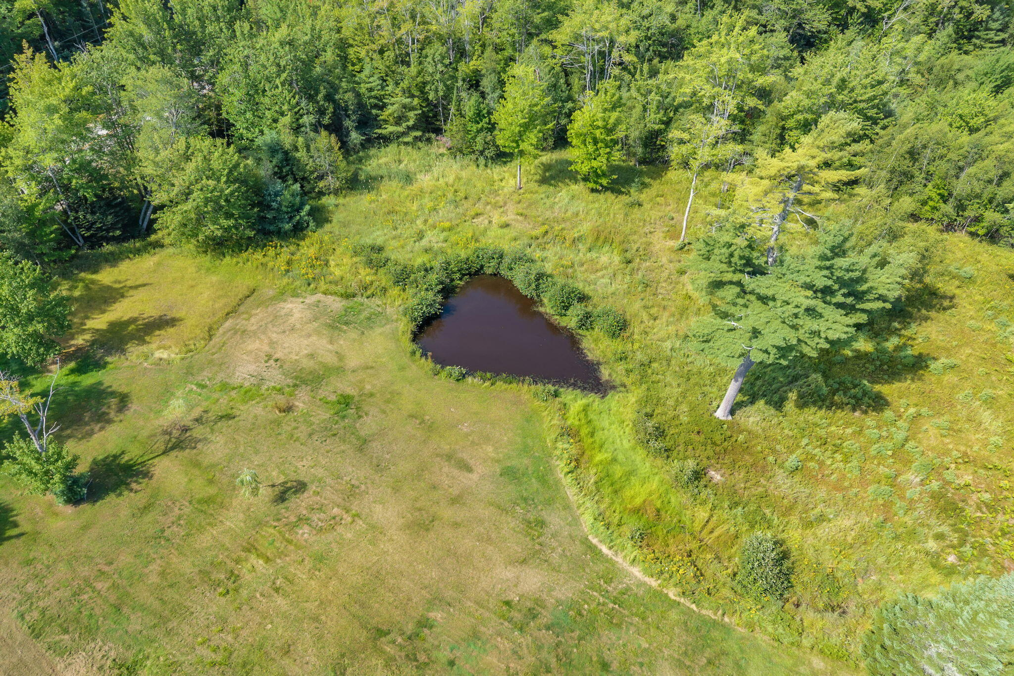 main property photo 82